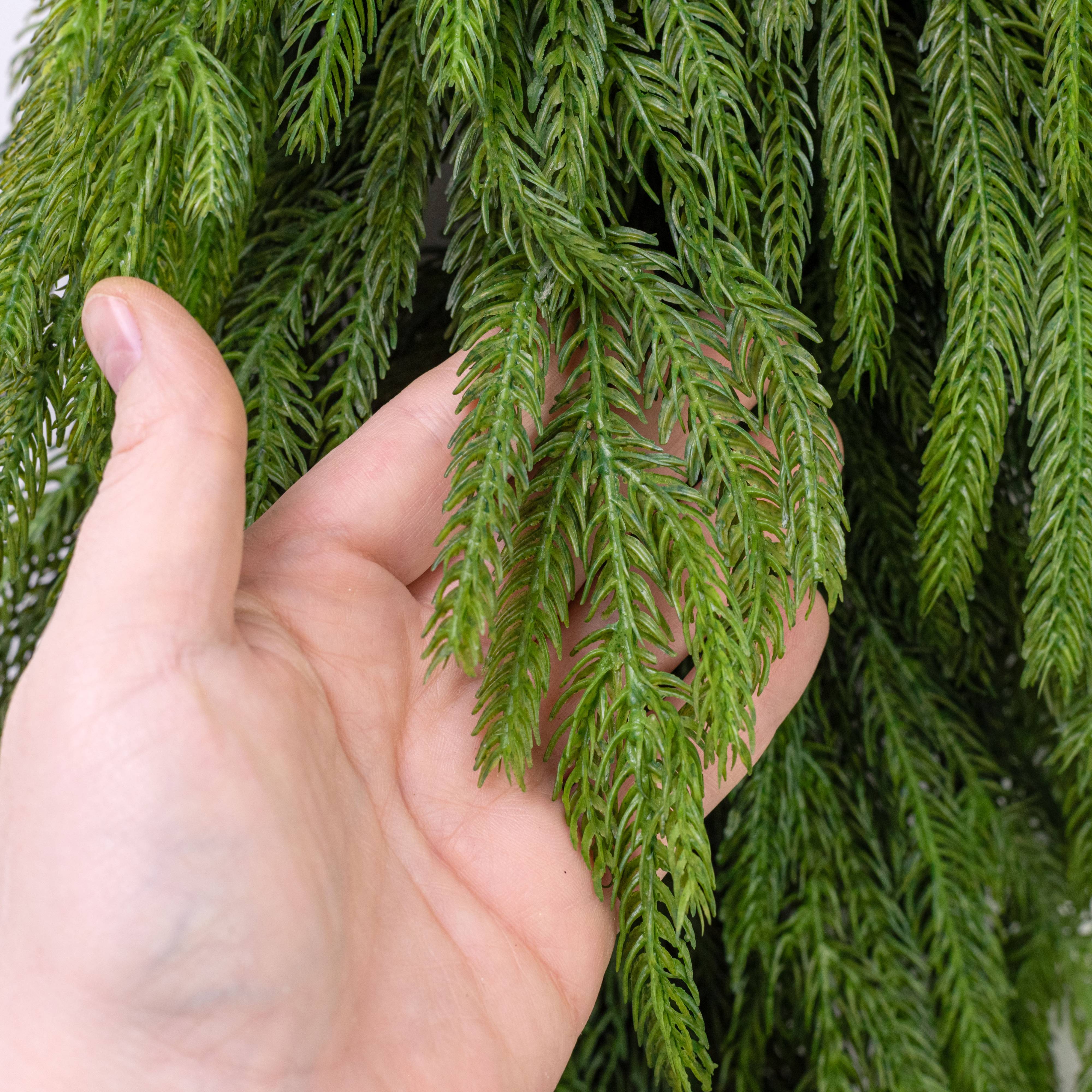 36" Norfolk Pine Teardrop detail photo 3