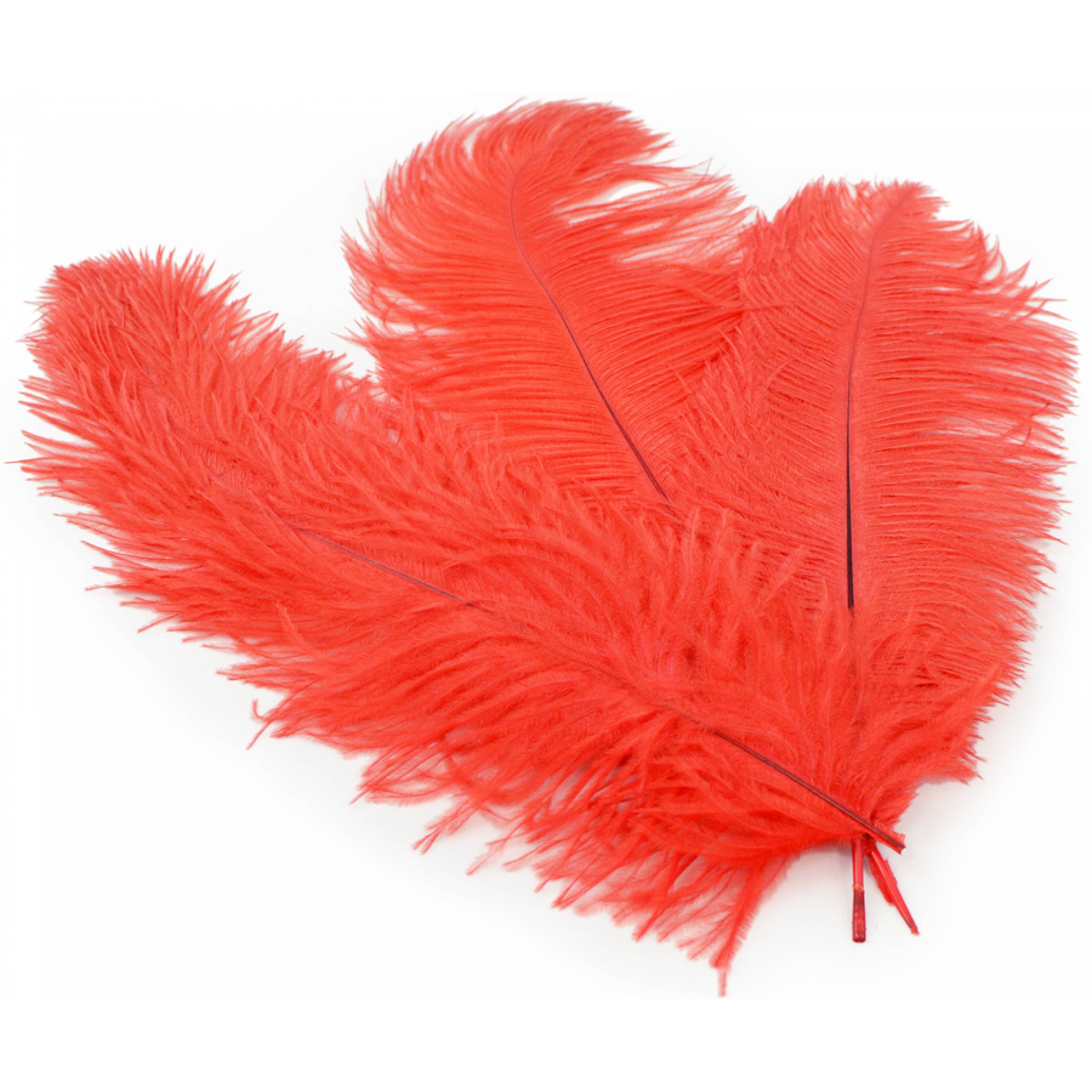 15" Ostrich Feather: Red Lifestyle Photo