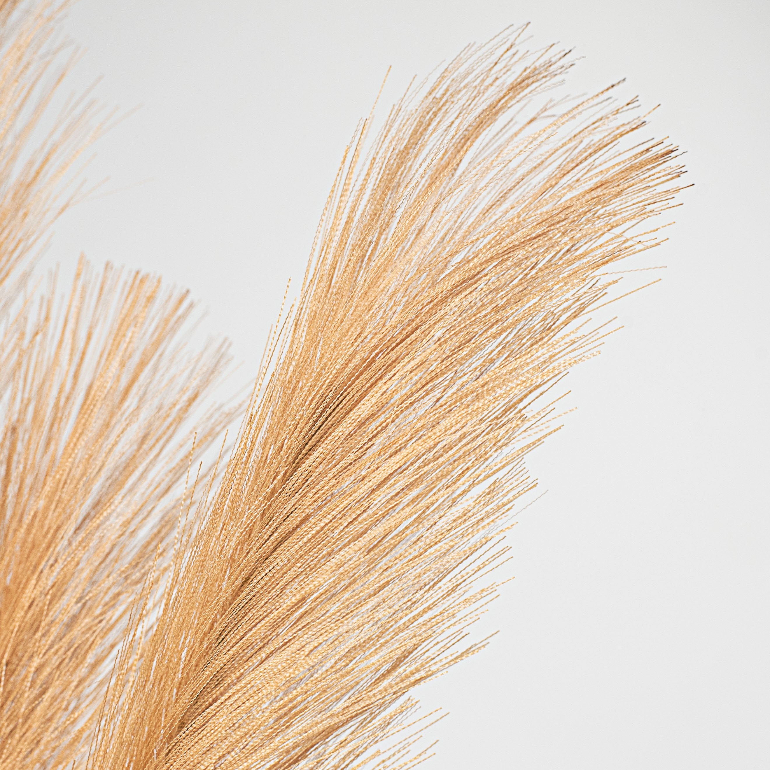30" Pampas Grass Bundle: Gold Lifestyle Photo