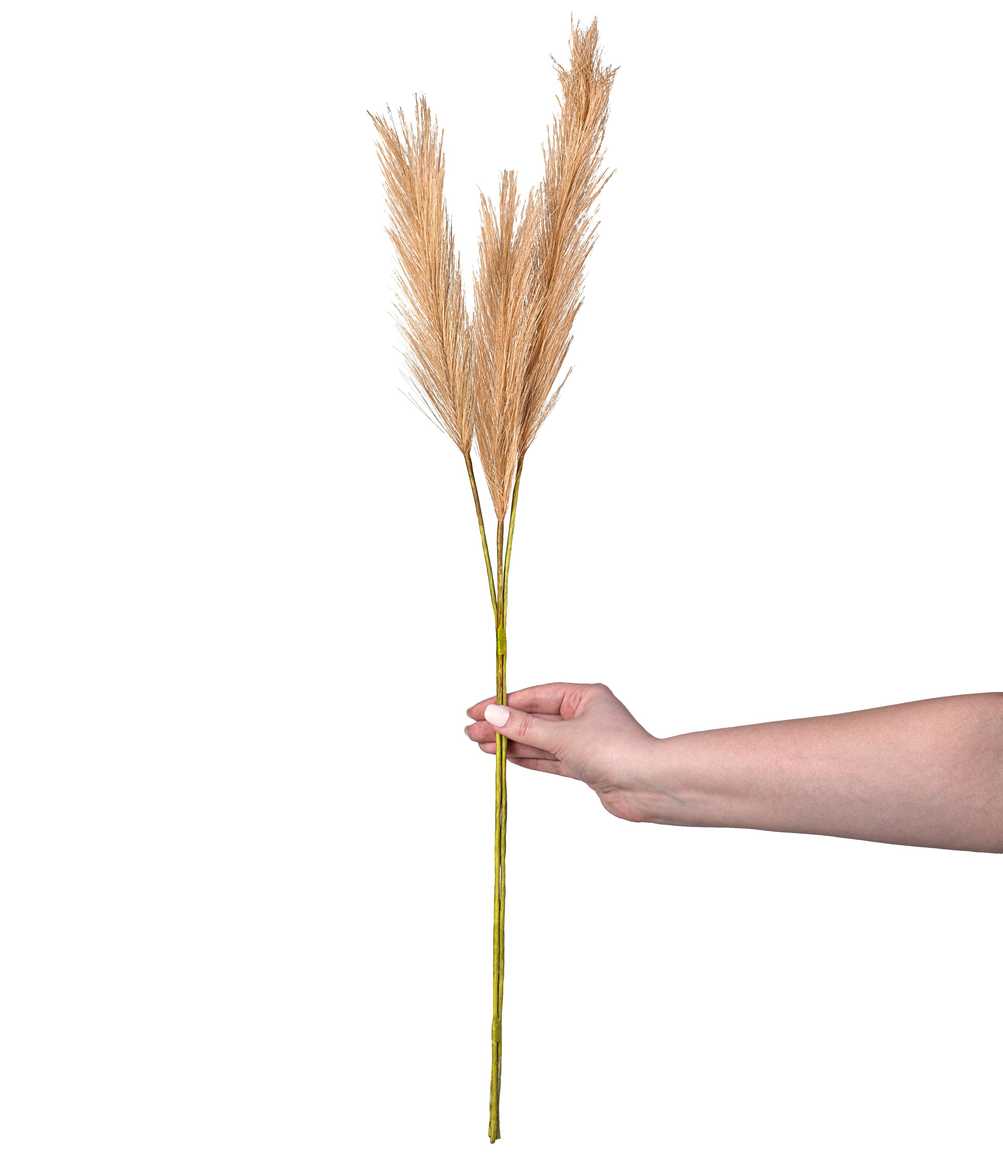 30" Pampas Grass Bundle: Gold detail photo 3