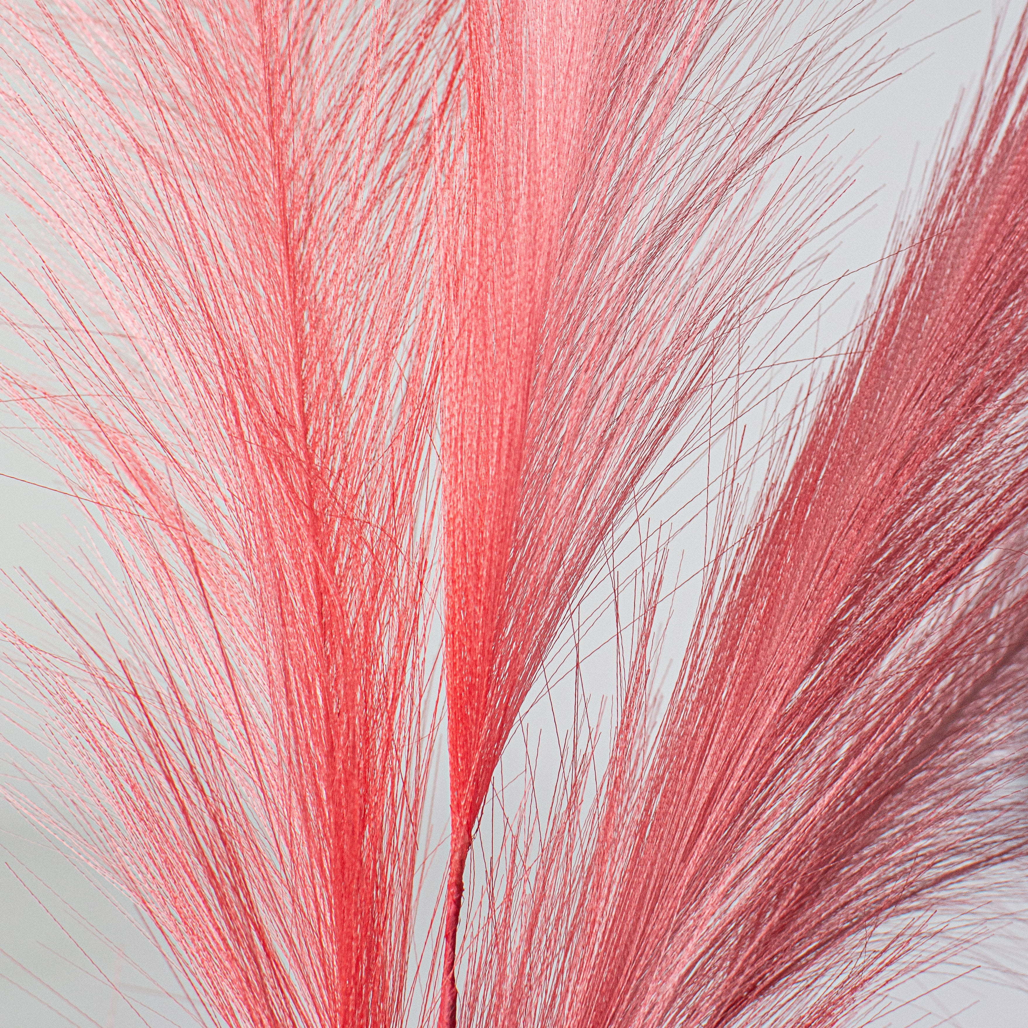 30" Pampas Grass Spray: Pink Lifestyle Photo