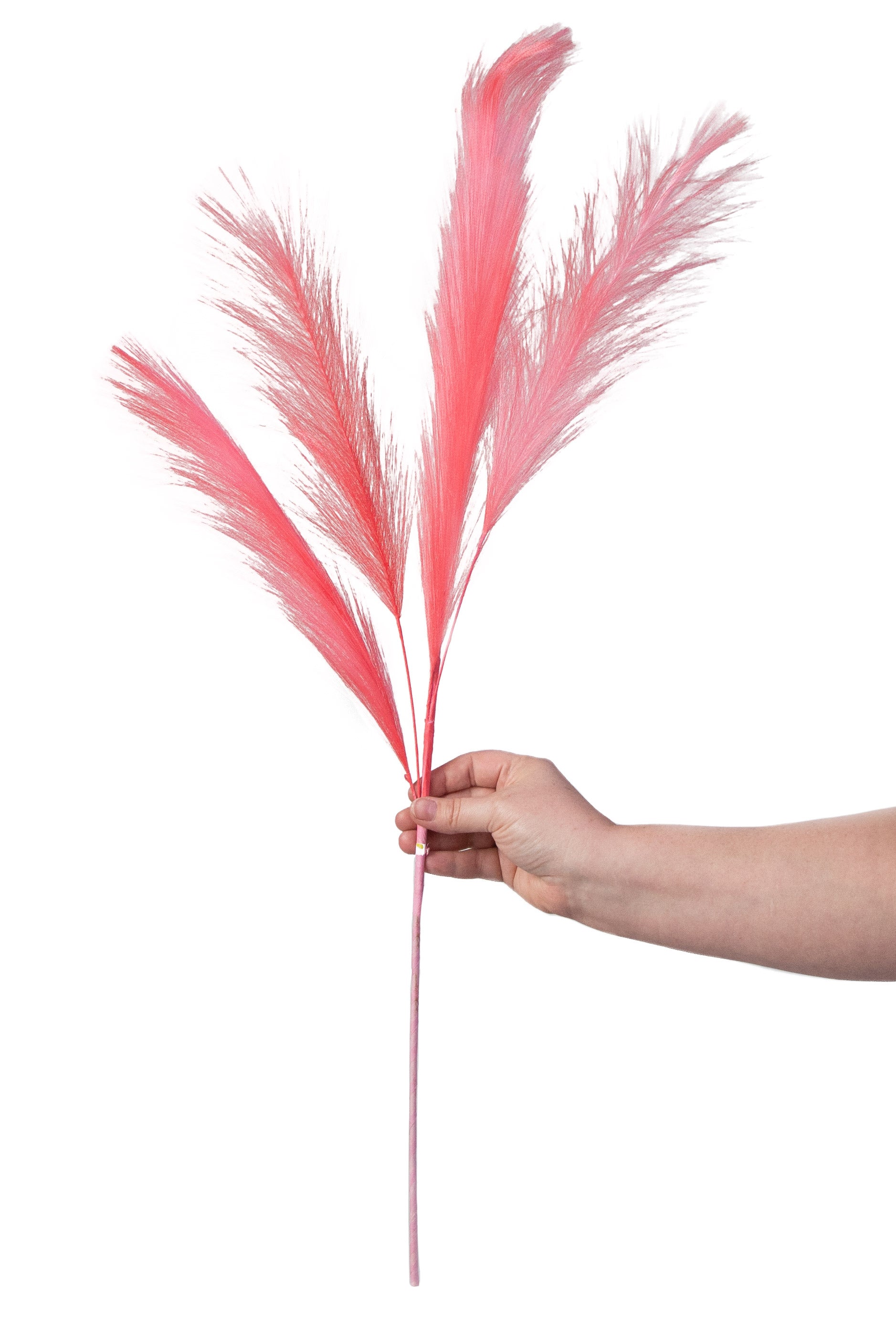 30" Pampas Grass Spray: Pink detail photo 3