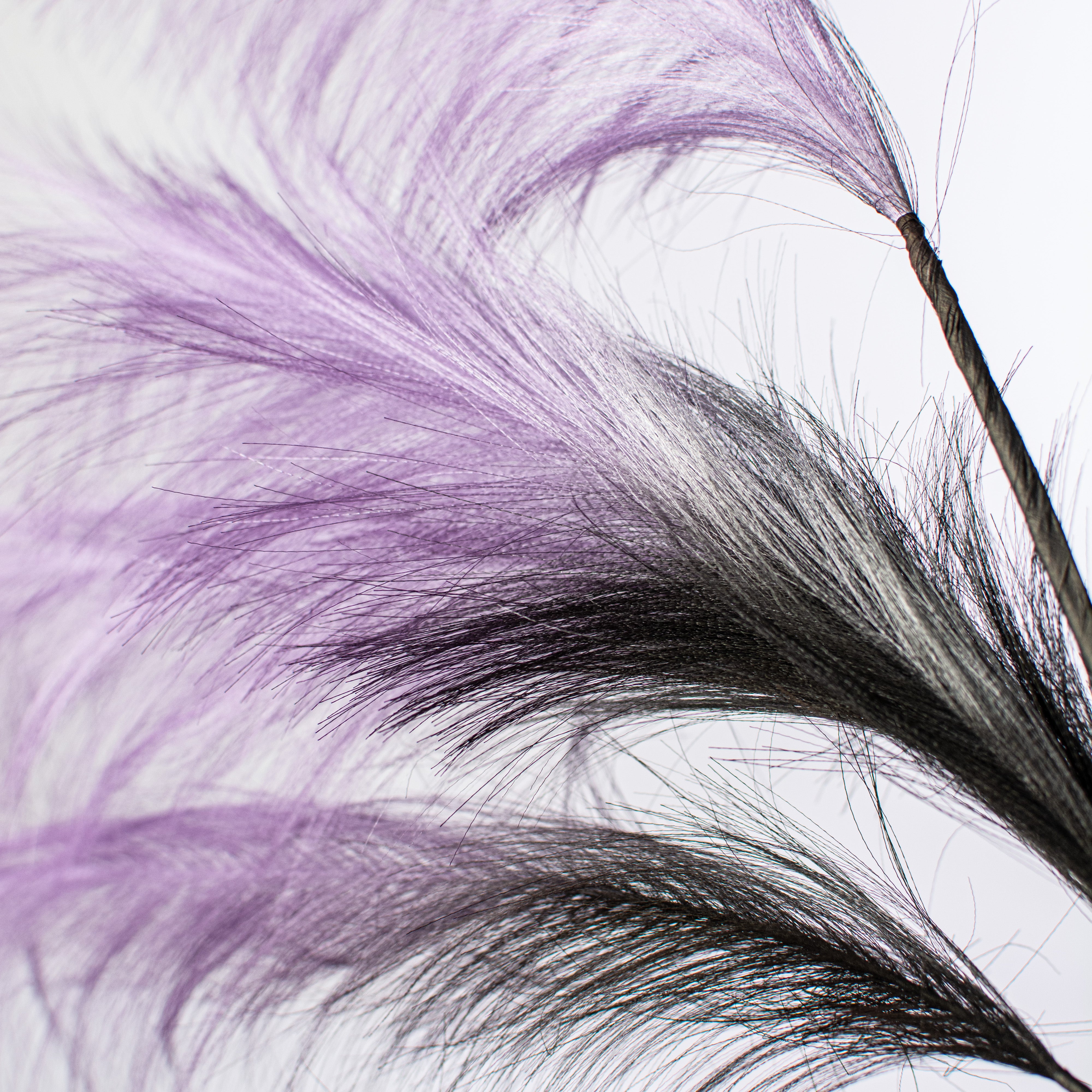 30" Pampas Grass Spray: Purple & Black detail photo 3