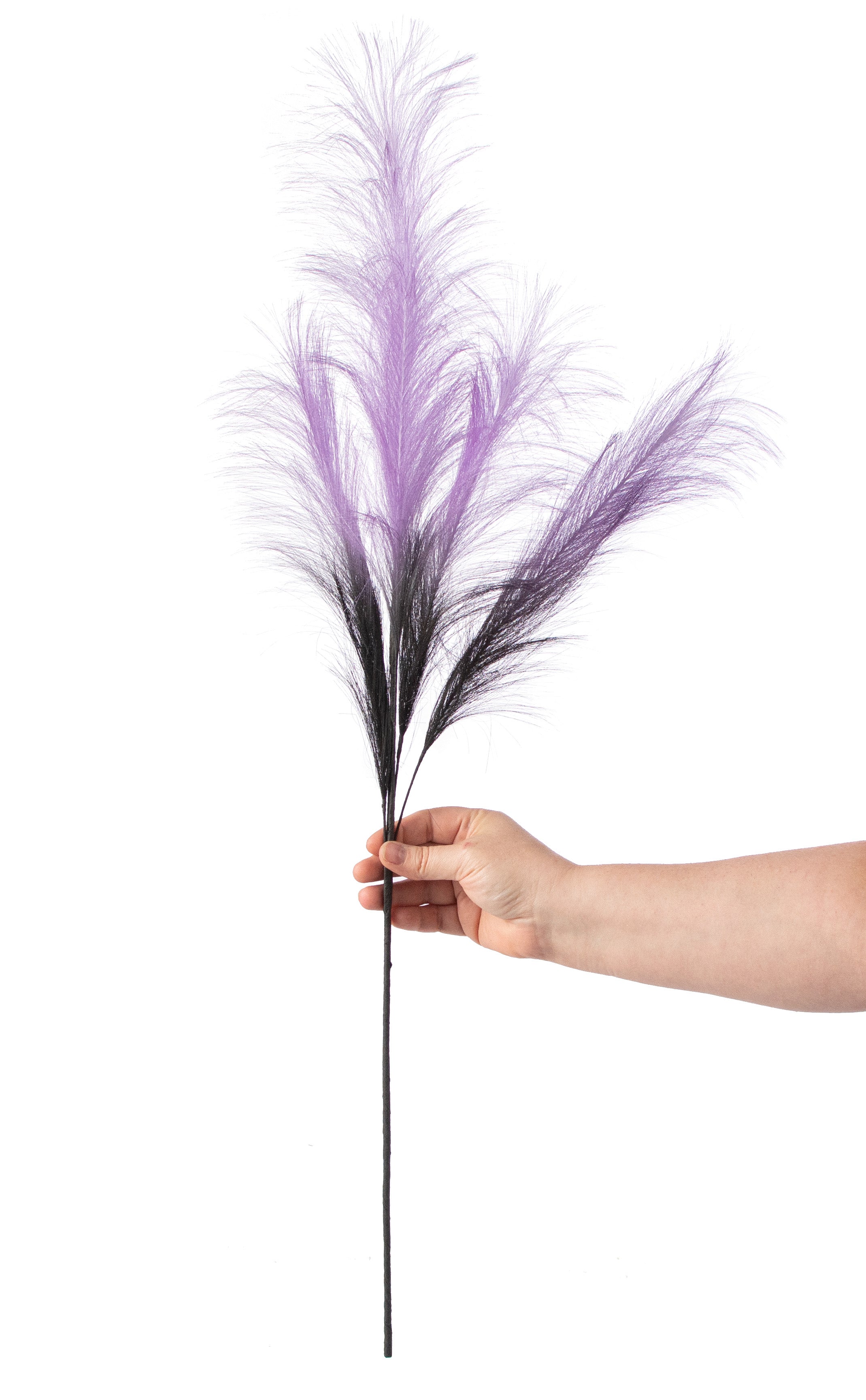 30" Pampas Grass Spray: Purple & Black detail photo 4