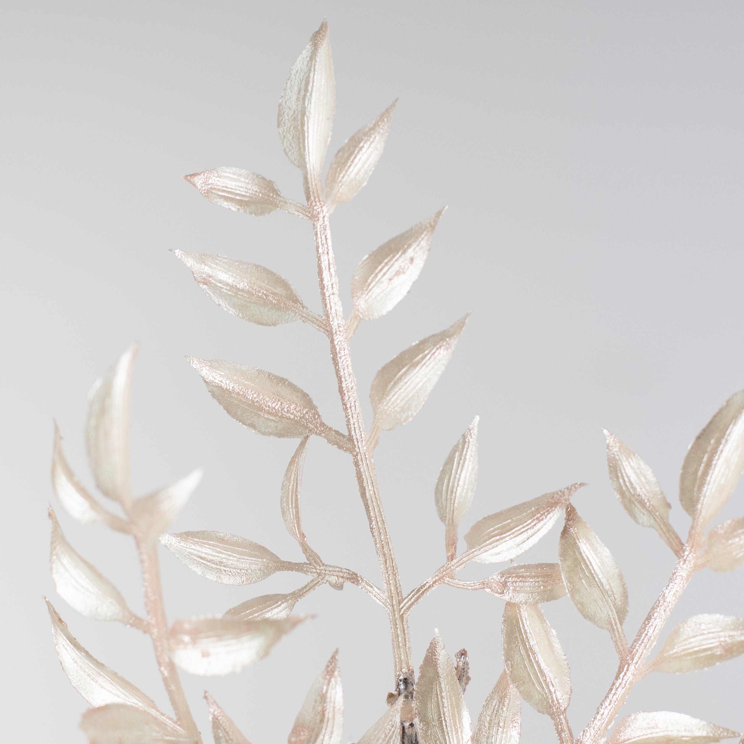 25" Pearl Ruscus Spray: Champagne Pink detail photo 4