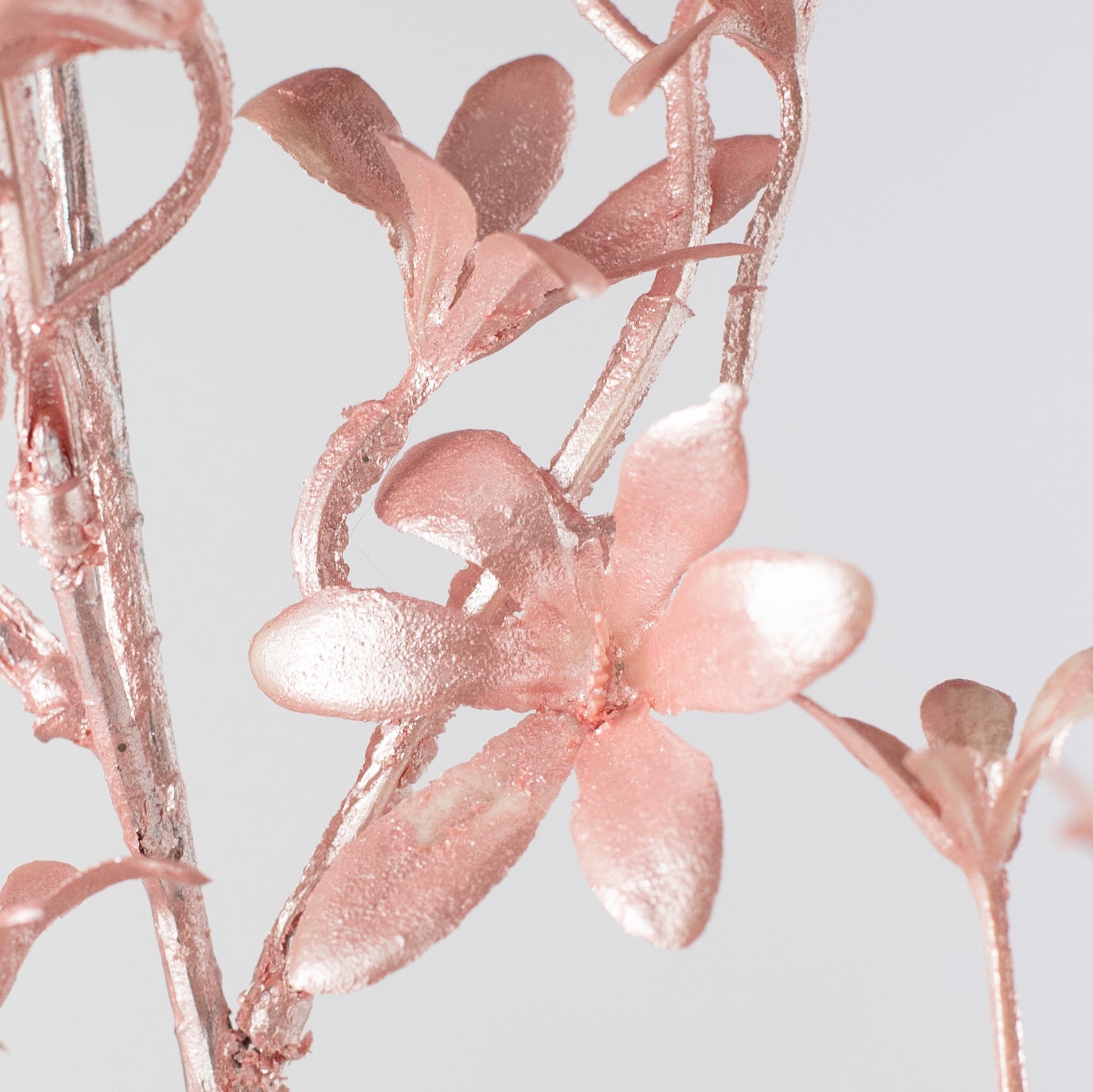 26" Pearl Tweedia Spray: Pink detail photo 4