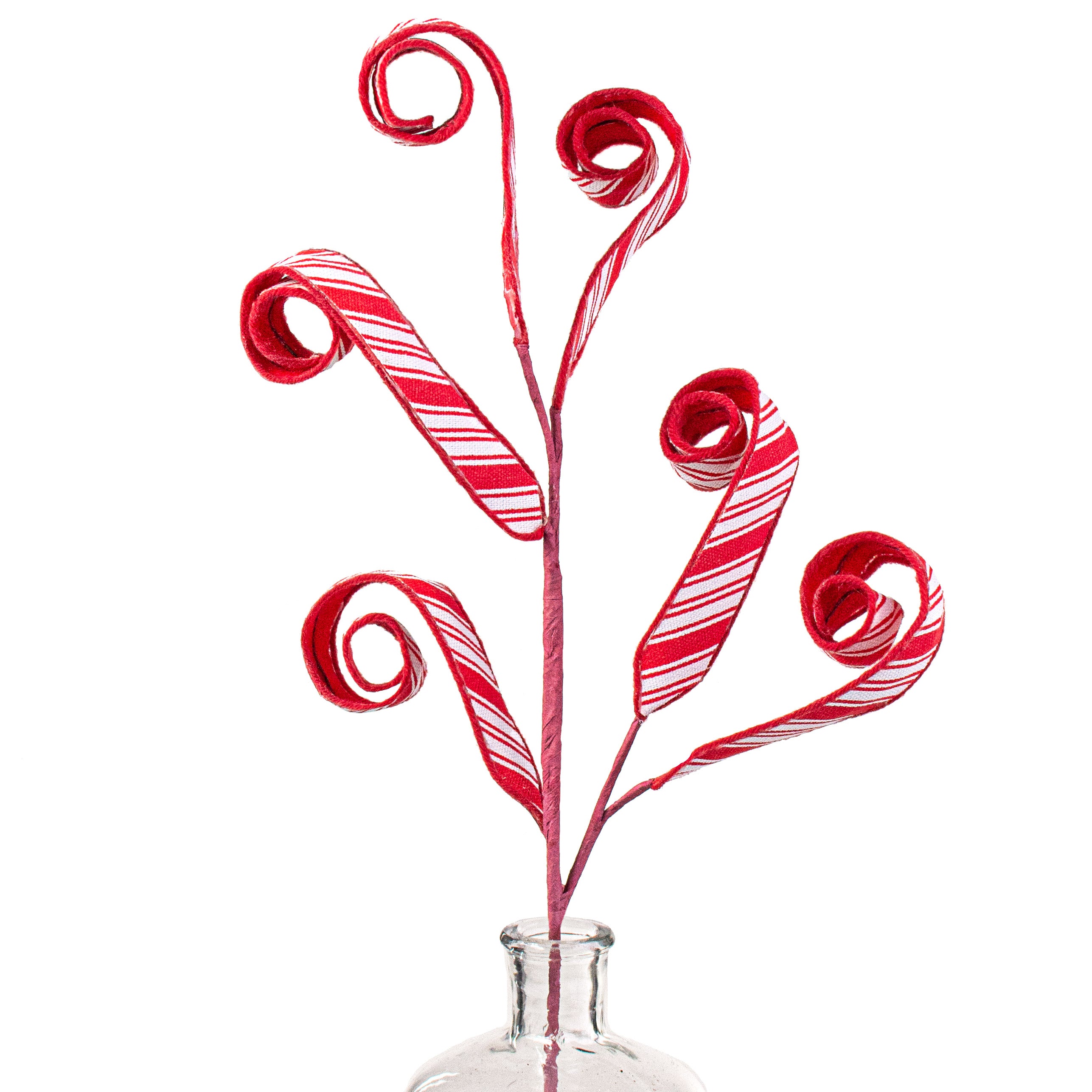 27" Peppermint Curly Spray Item Number: 85285RDWT