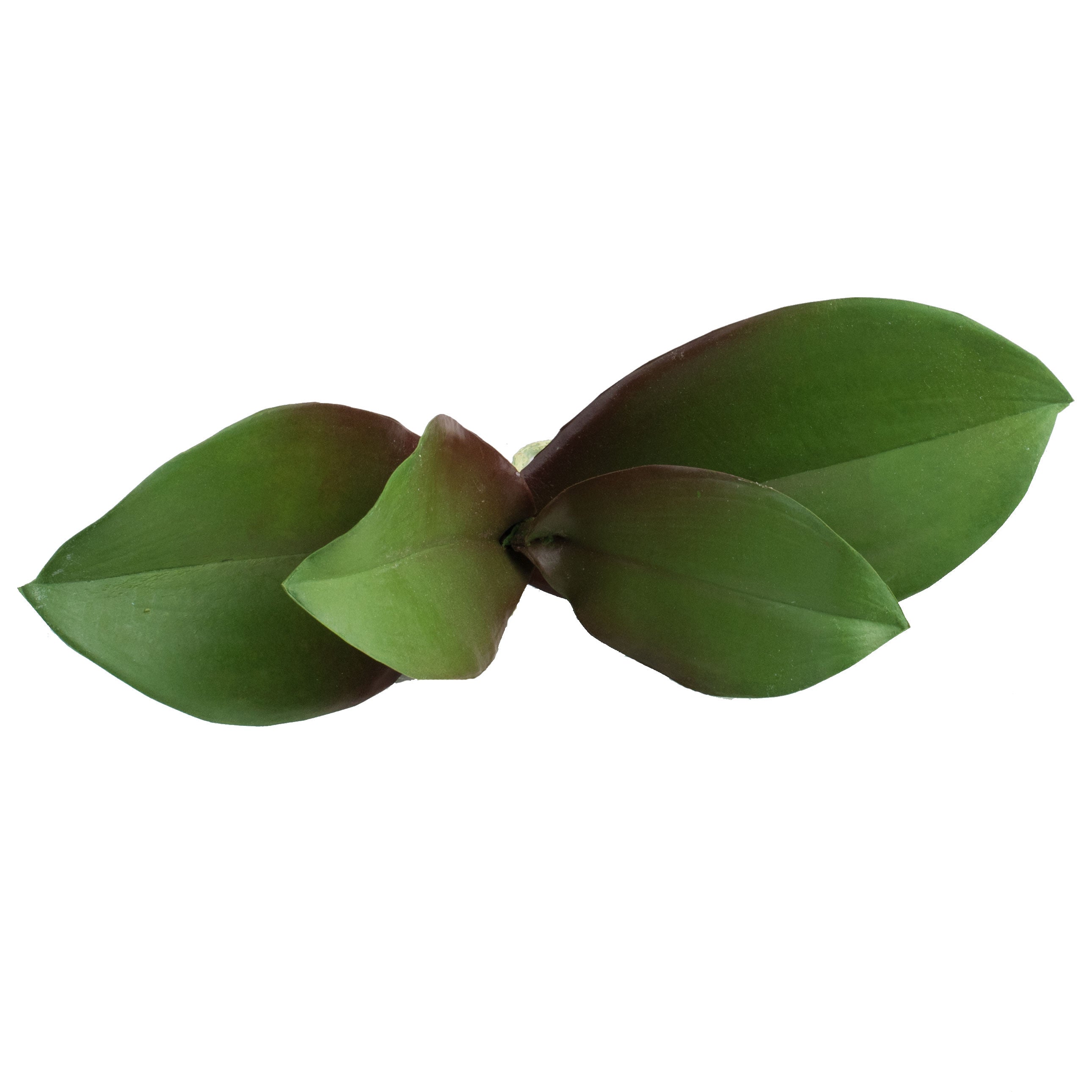 10" Phalaenopsis Orchid Leaves Pick detail photo 3