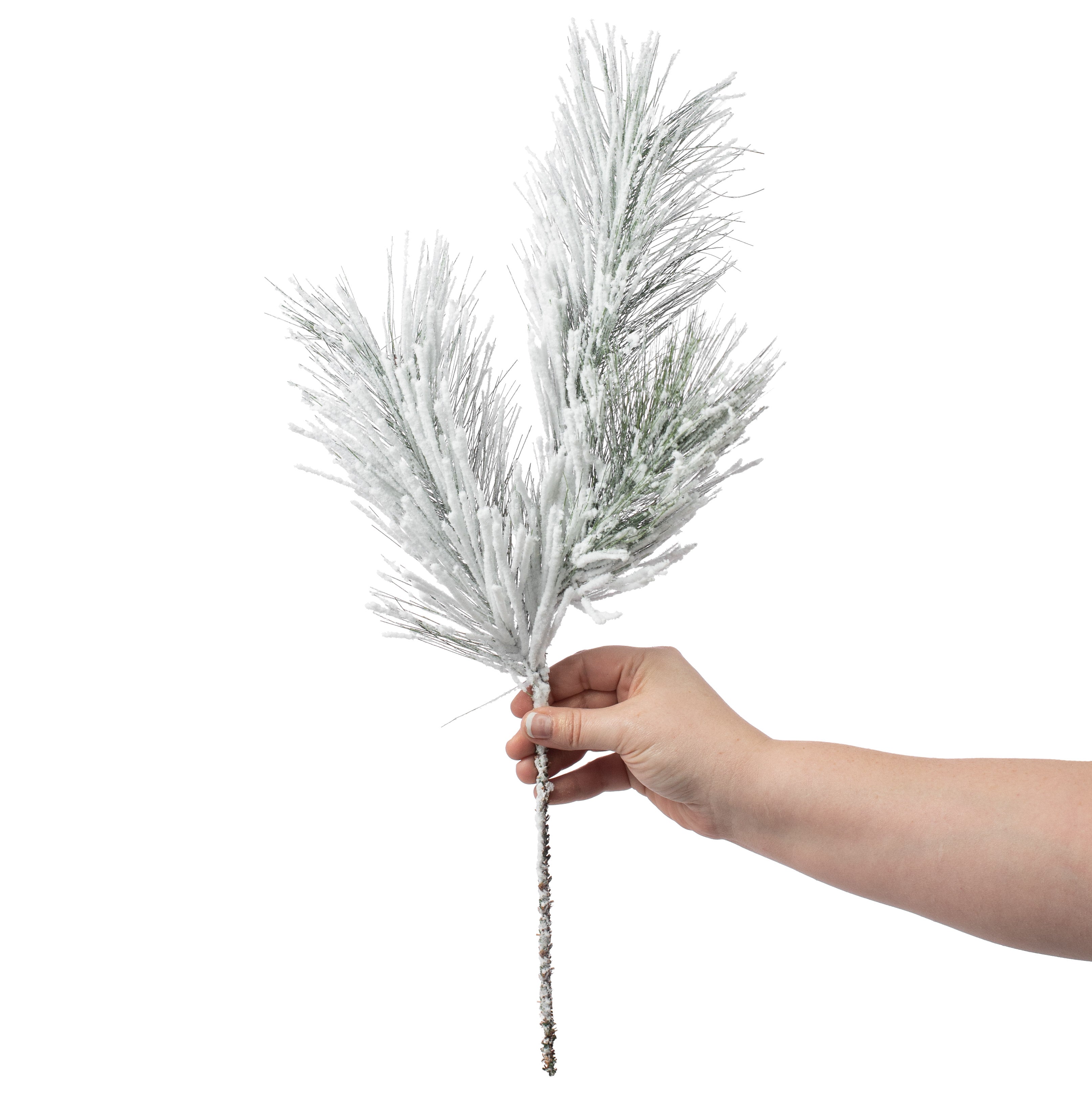 20" Pine Spray: Heavy Snow Lifestyle Photo