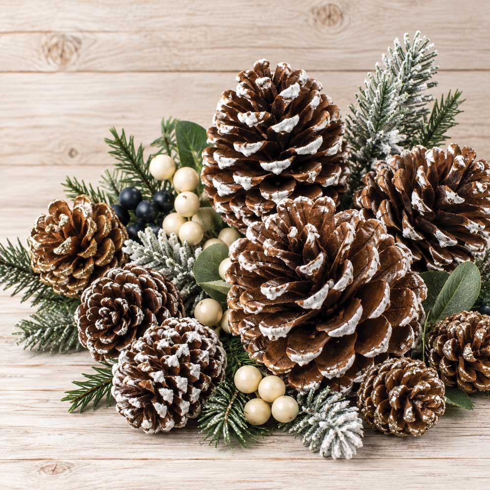 Pinecones