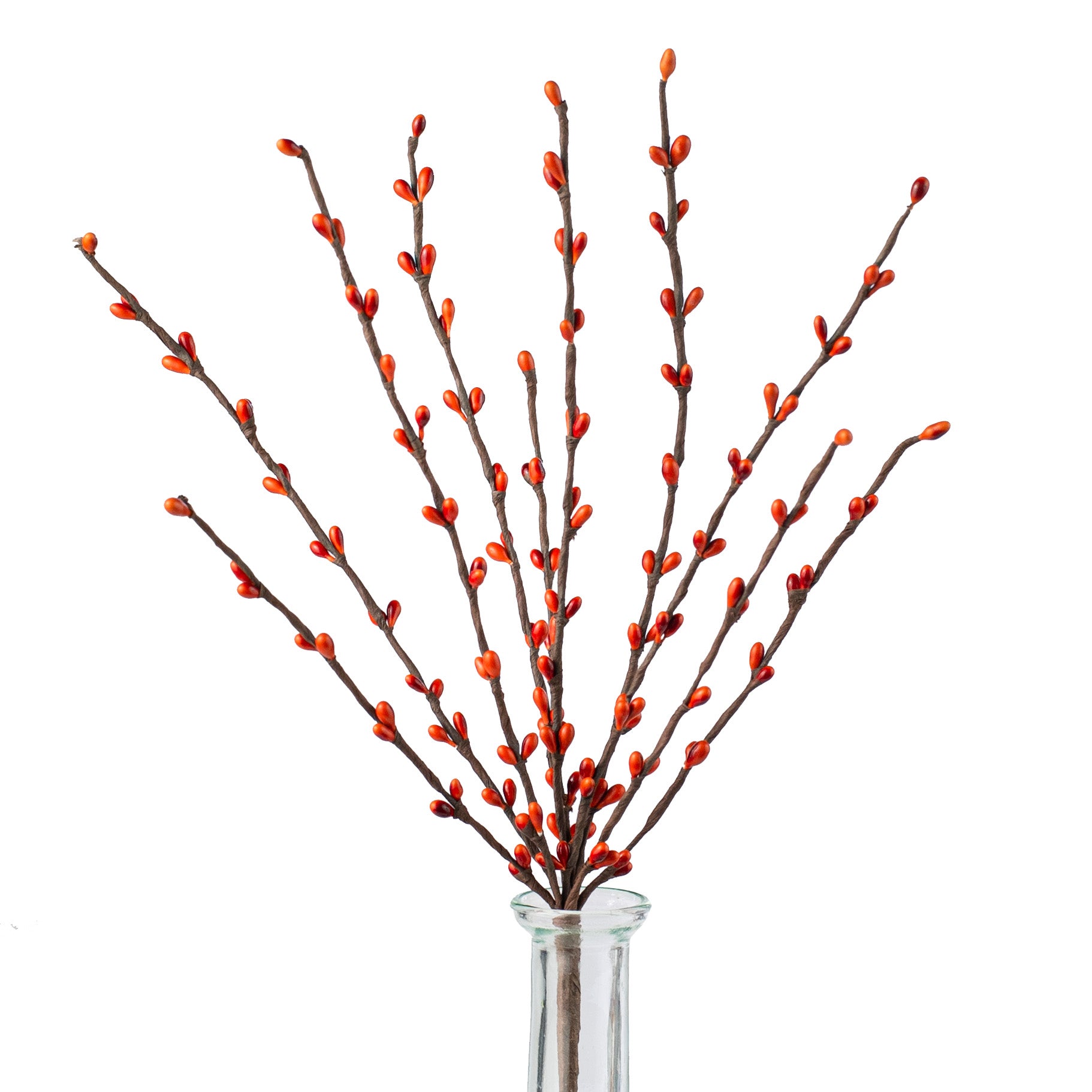 12" Pip Berry Pick: Pumpkin Spice Item Number: ISB13800PS