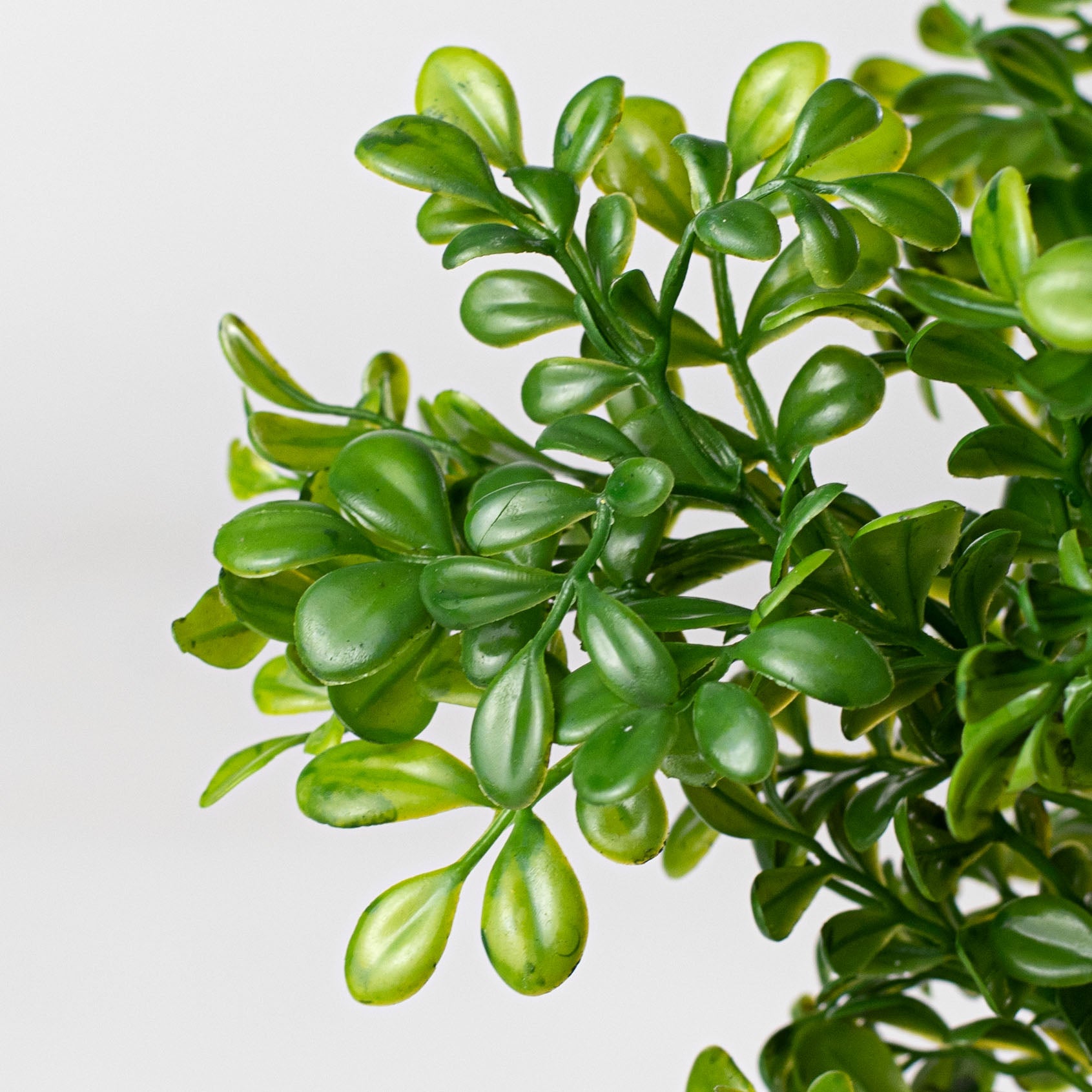 19" Plastic Boxwood Bush Lifestyle Photo