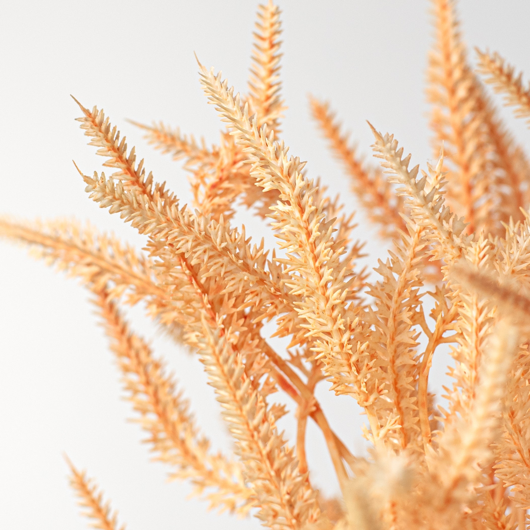 13" Plastic Wheat Bundle: Peach Lifestyle Photo