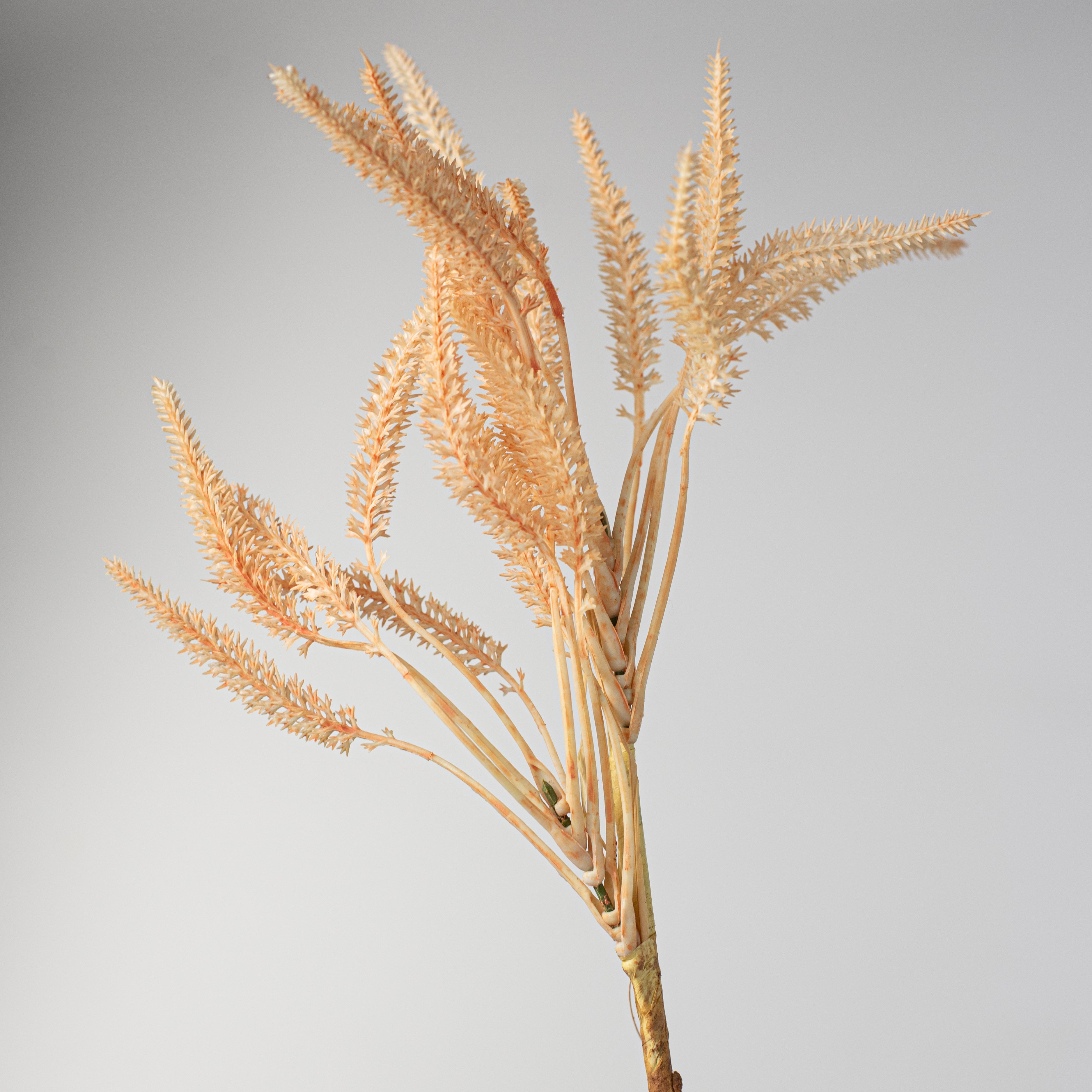 13" Plastic Wheat Bundle: Peach detail photo 4