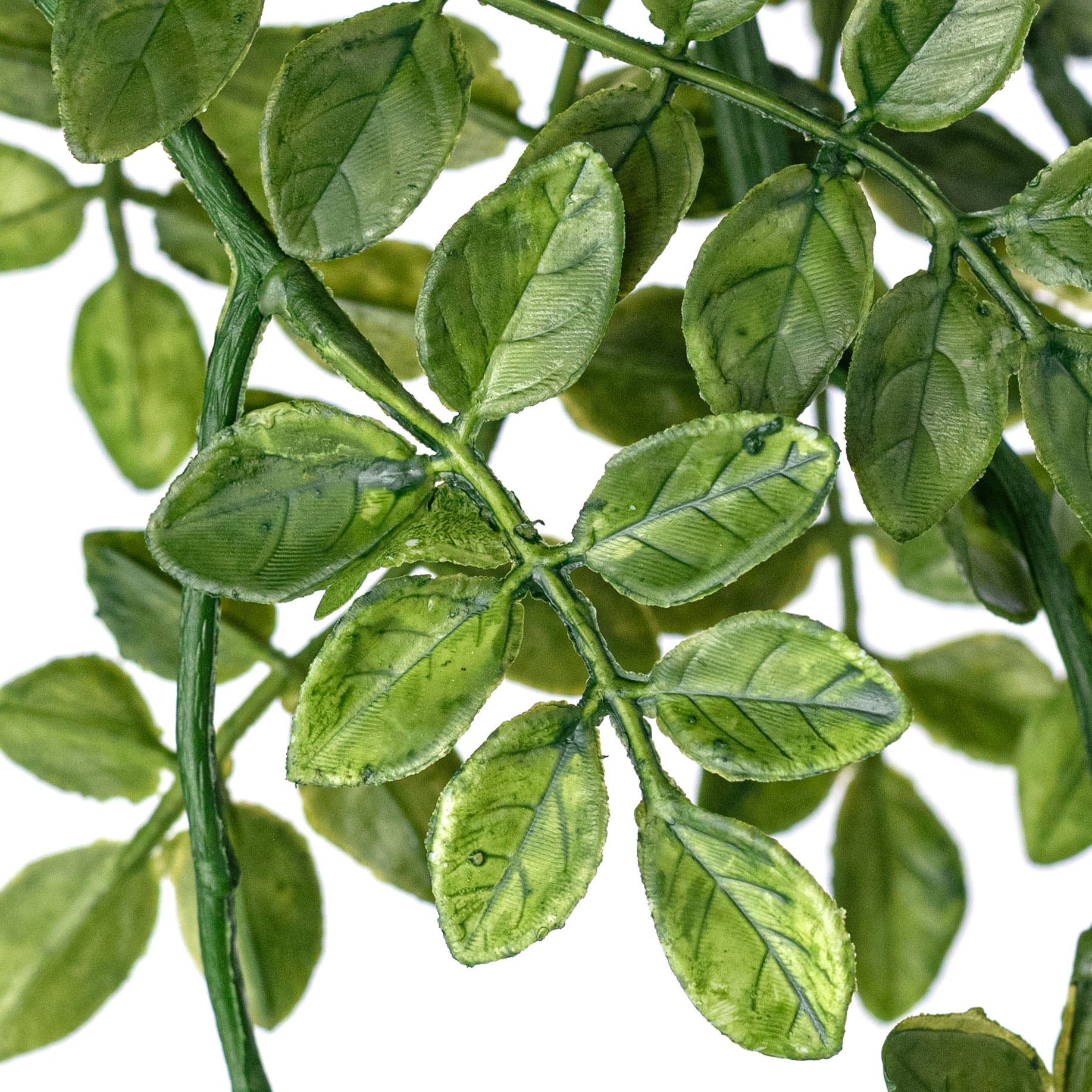 4' Plastic Wisteria Leaves Garland detail photo 3