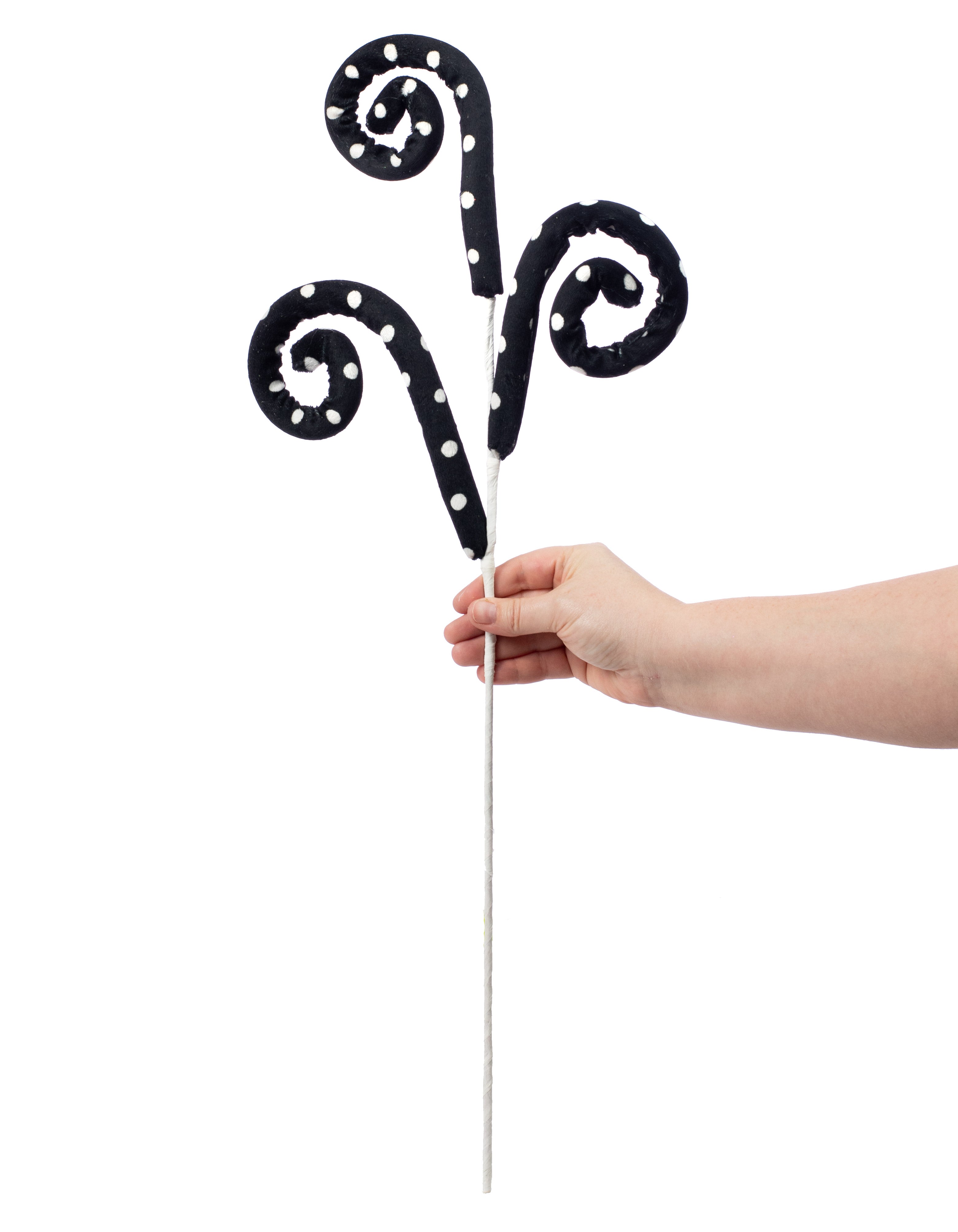 29" Polka Dot Swirl Spray: Black & White Lifestyle Photo