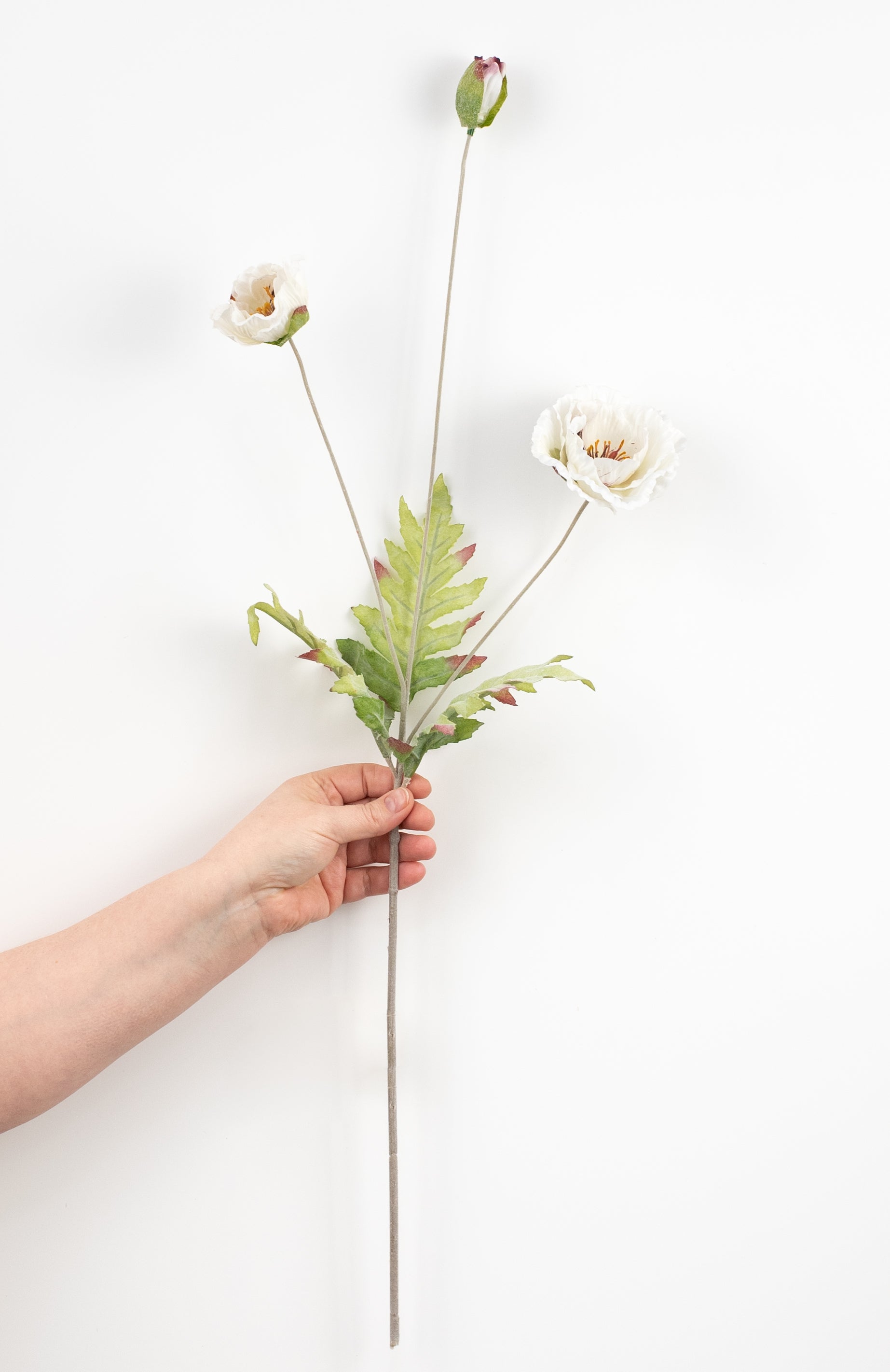 28" Poppy Spray: White detail photo 3