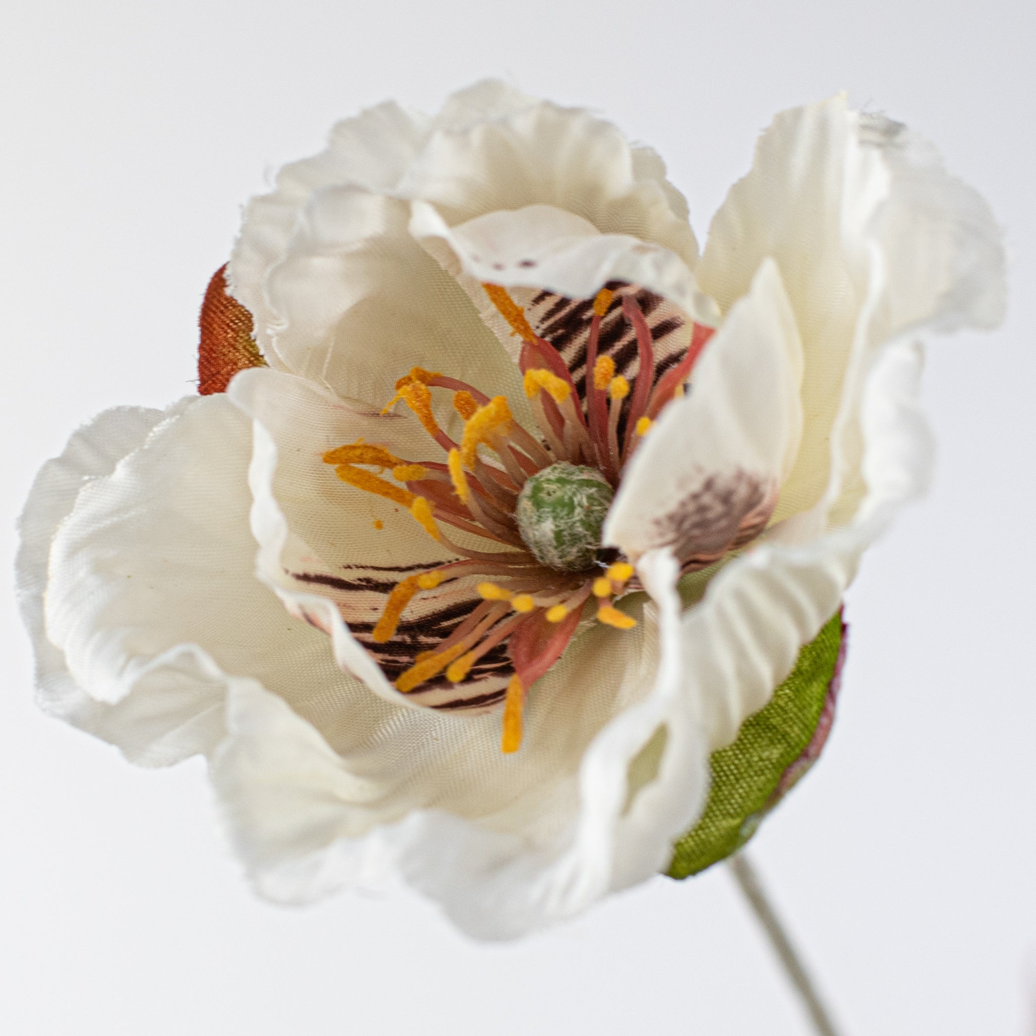 28" Poppy Spray: White detail photo 4