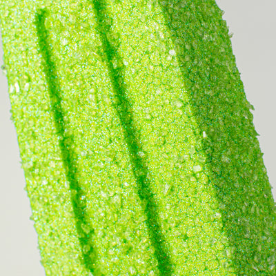 20" Popsicle Pick: Green Lifestyle Photo