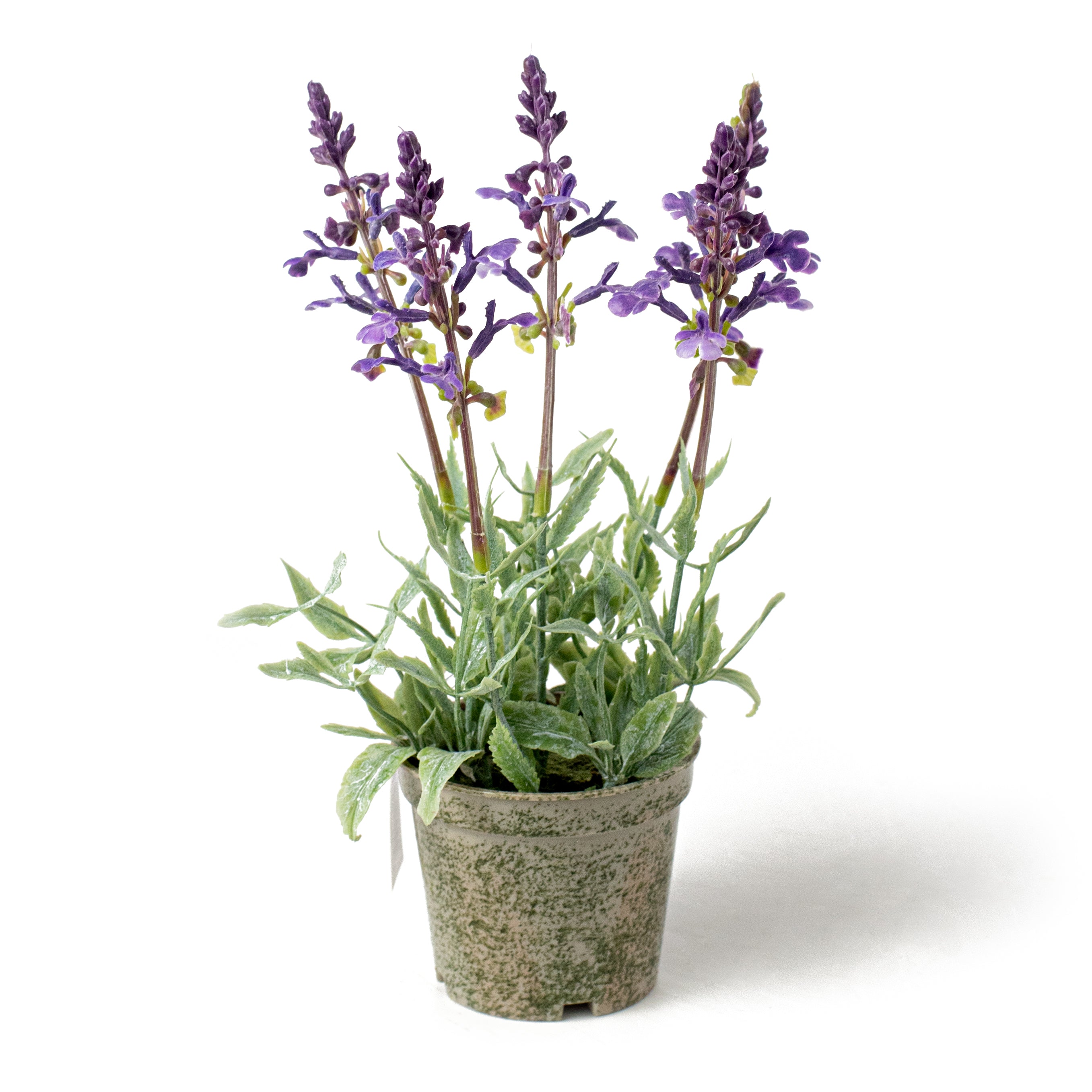 10" Potted Lavender Container Item Number: 211559
