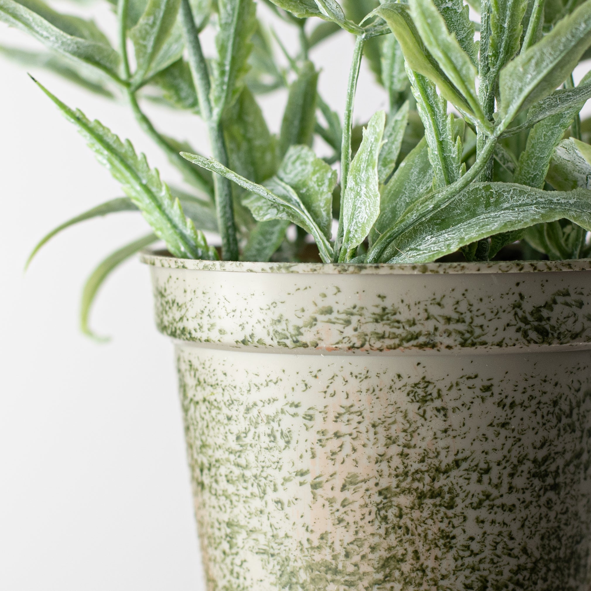 10" Potted Lavender Container detail photo 4