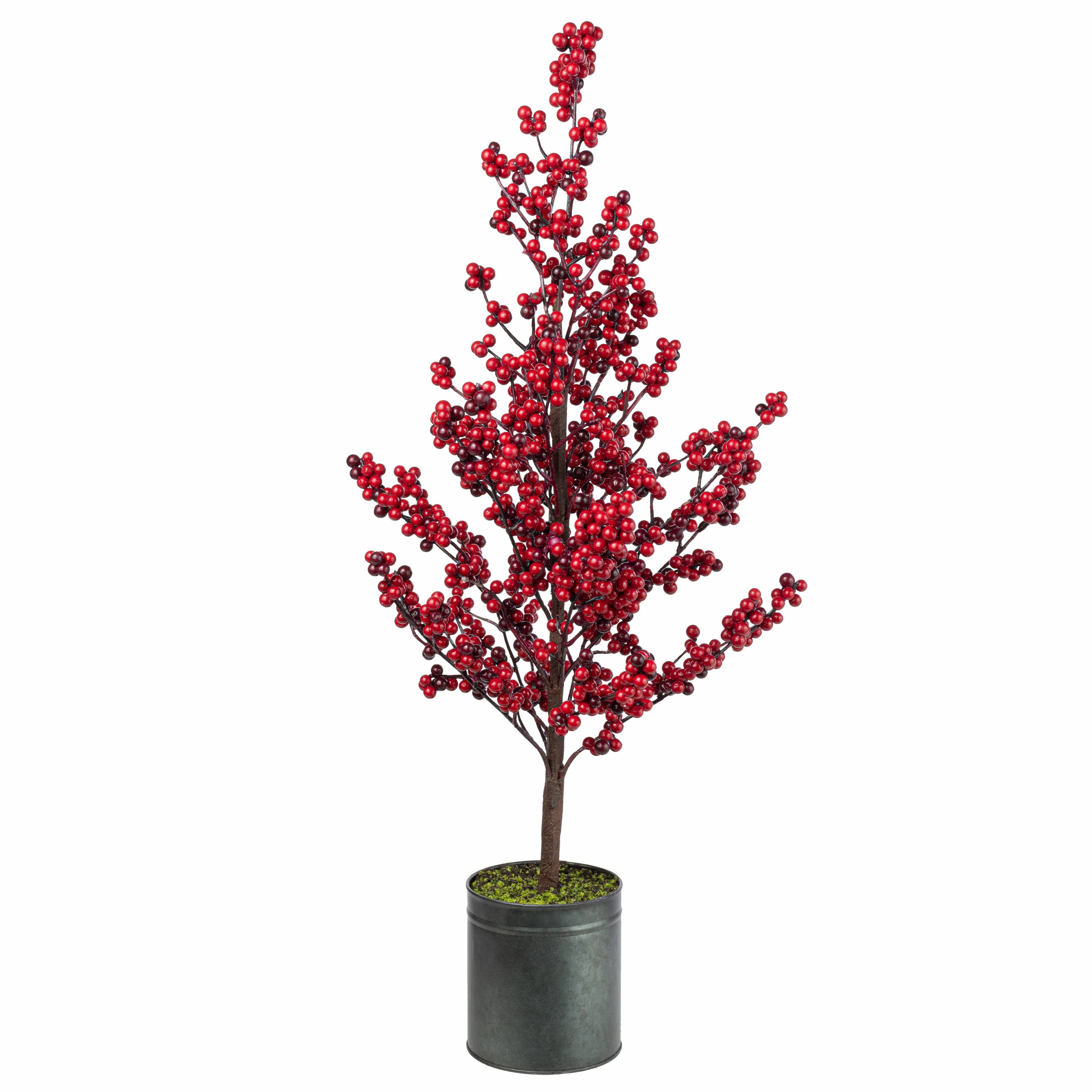 potted berry plants Direct Export 28