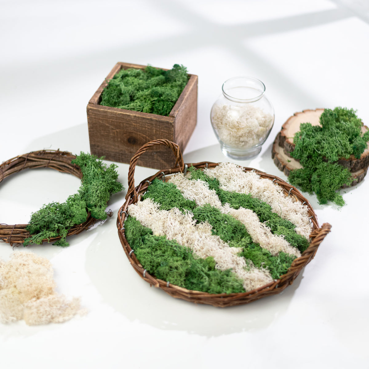 Preserved Reindeer Moss: Two-Tone Green (500 Gram Box) Lifestyle Photo