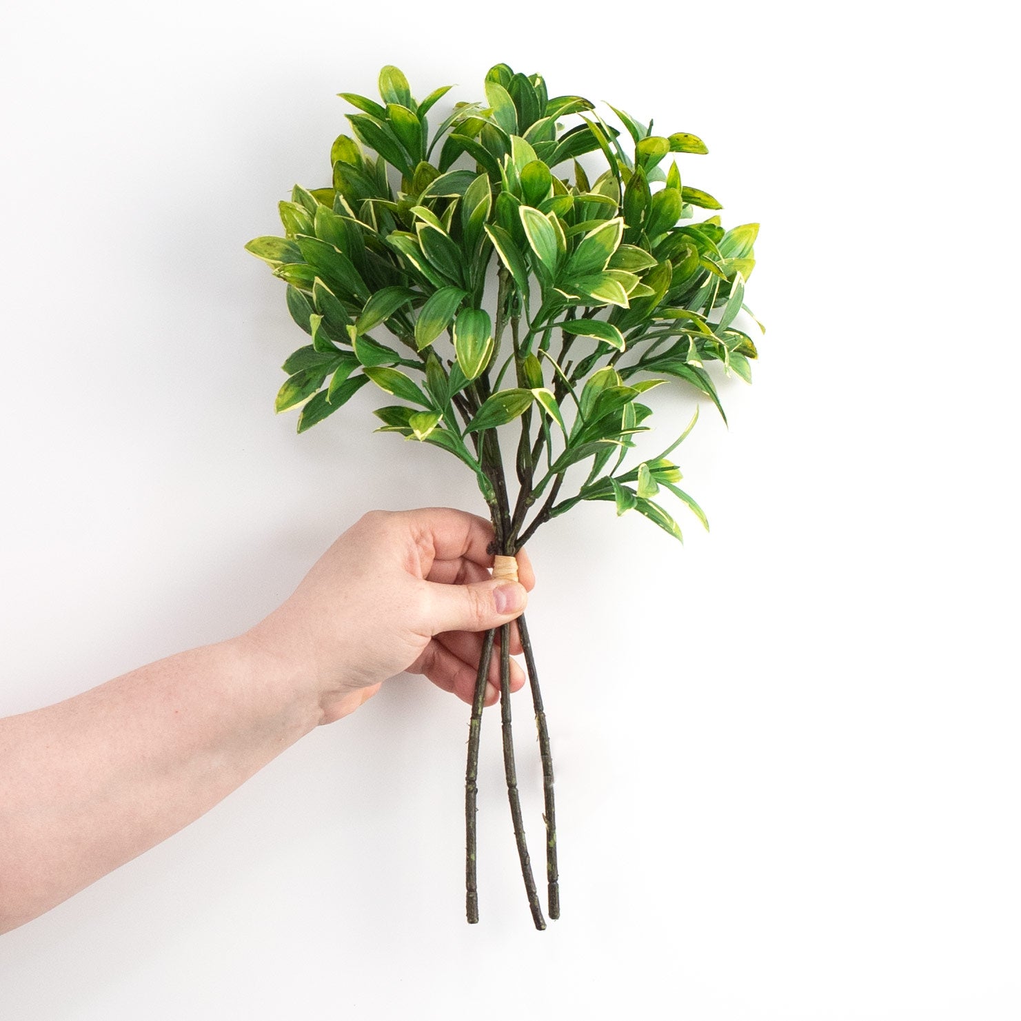 15" Privet Leaf Bundle: Green & Yellow detail photo 3