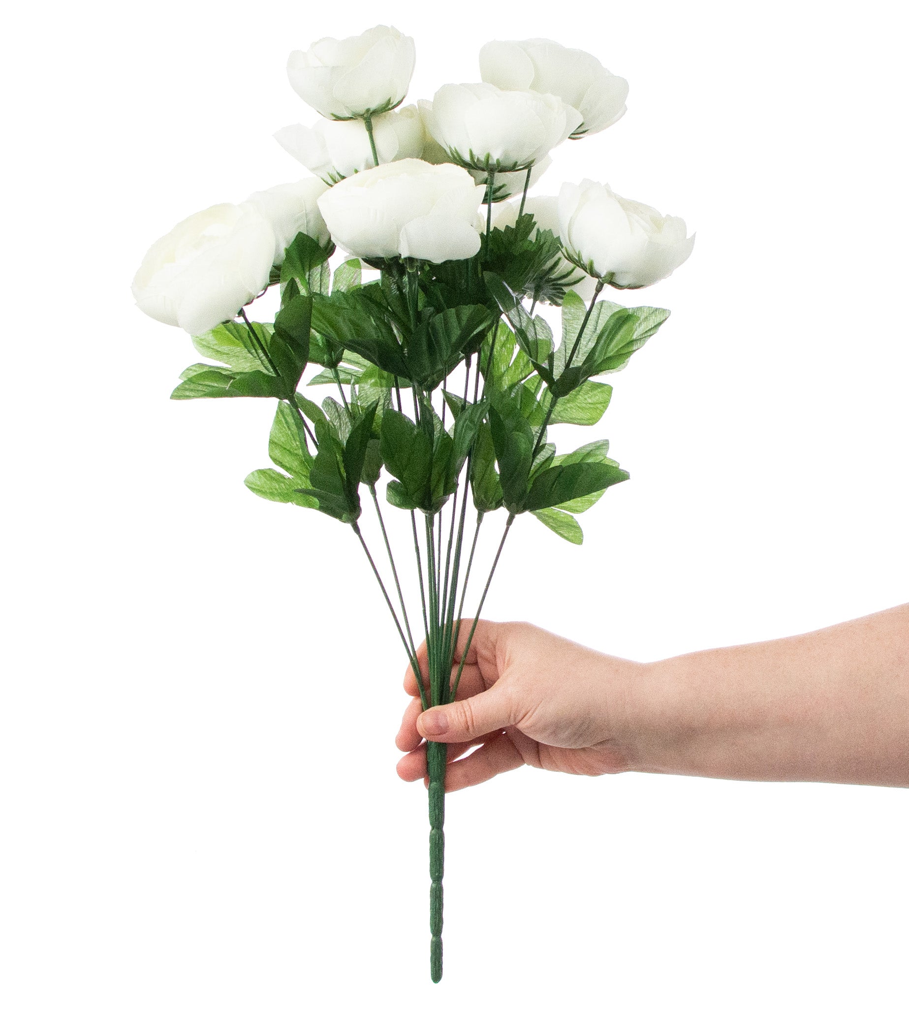 20" Ranunculus Bush: Cream (12 Stem) detail photo 3