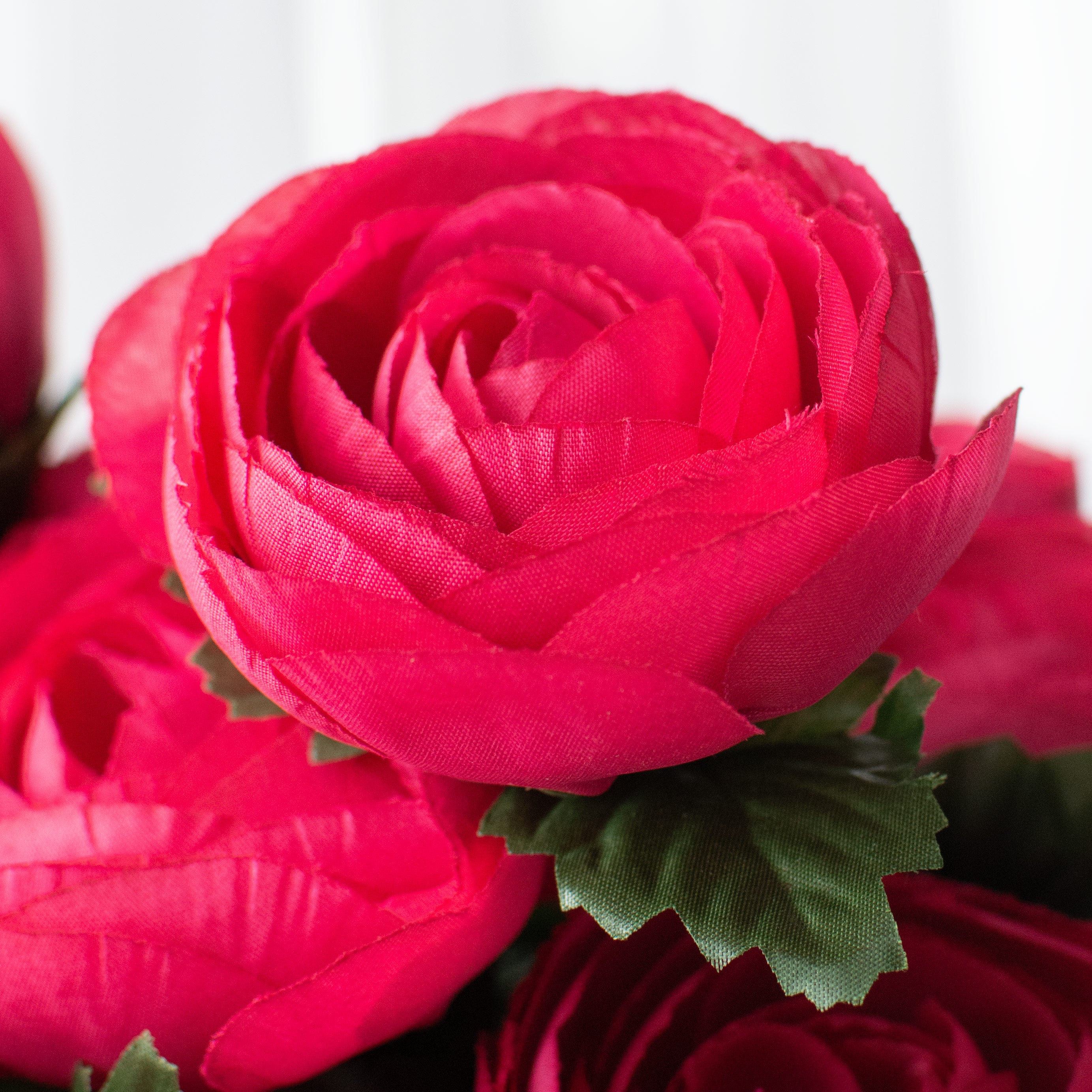 20" Ranunculus Bush: Fuchsia Pink (12 Stem) Lifestyle Photo