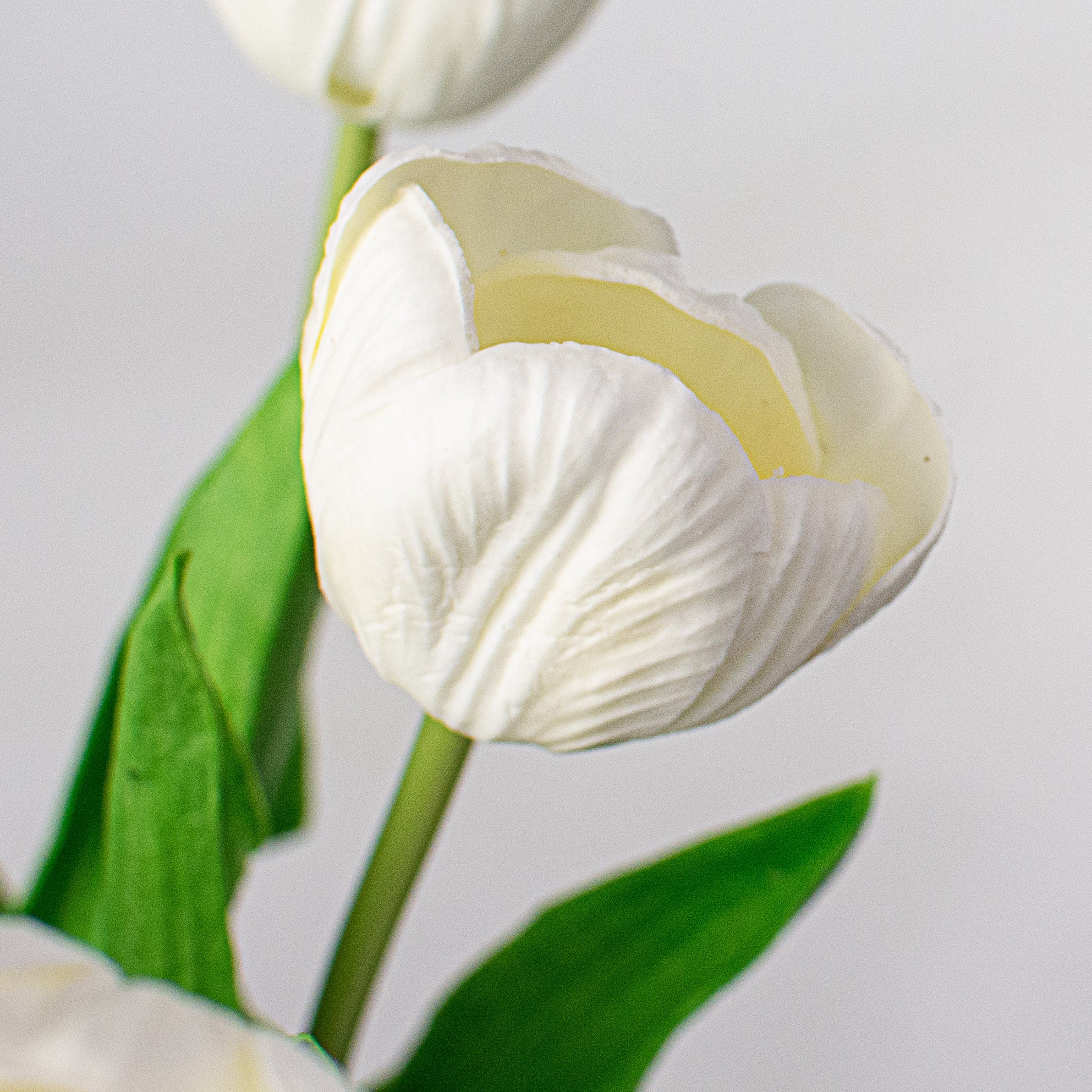 13" Realistic Touch Tulip Bouquet: White (5) detail photo 3