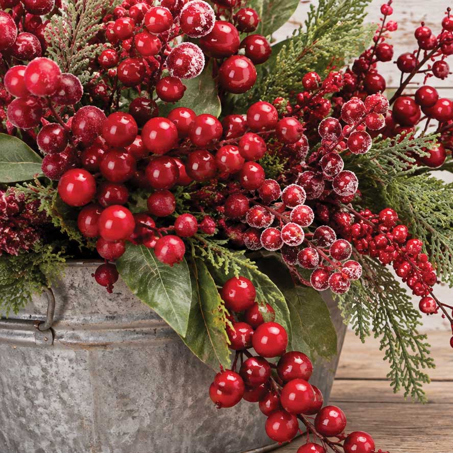 Berries
