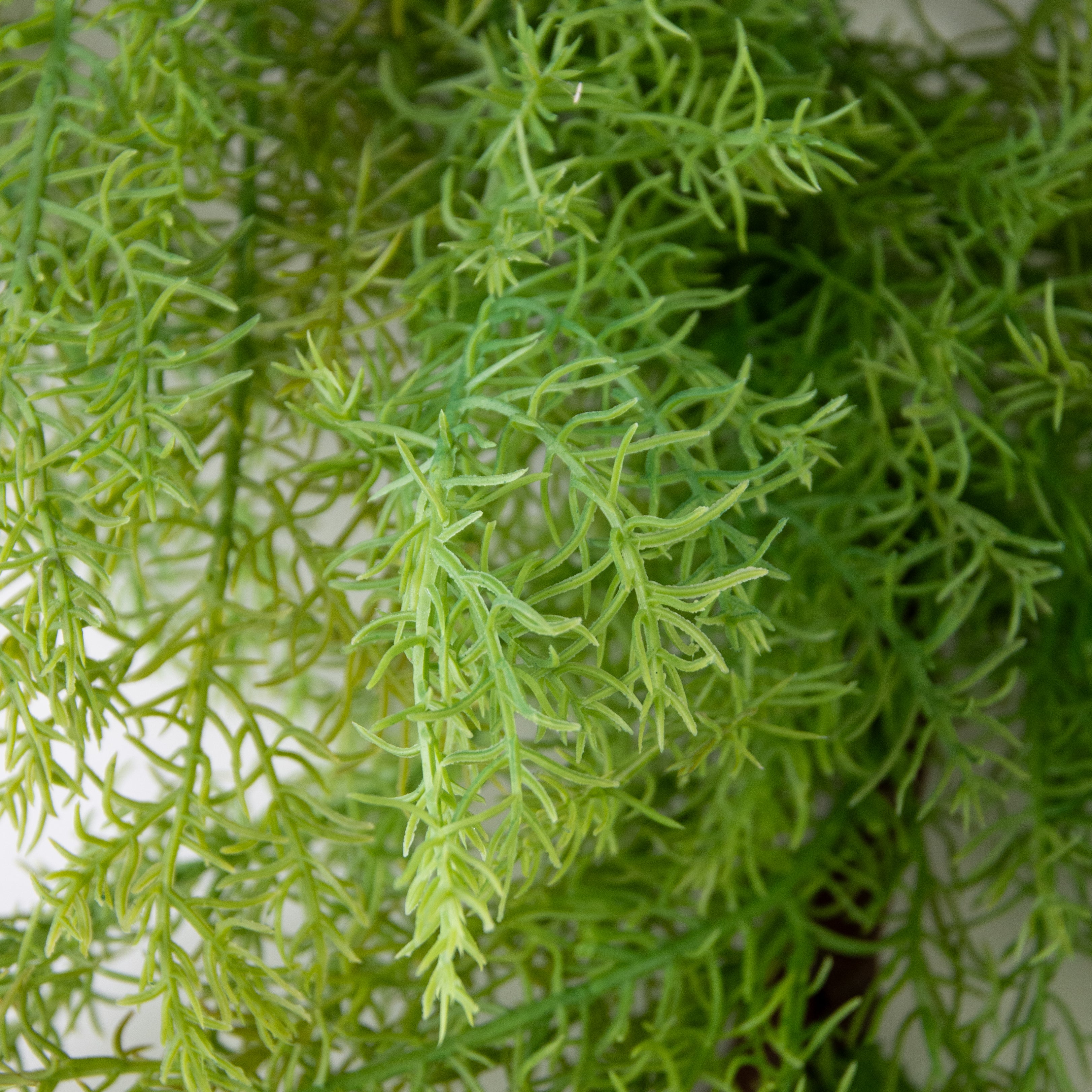62" Rosemary Garland detail photo 3