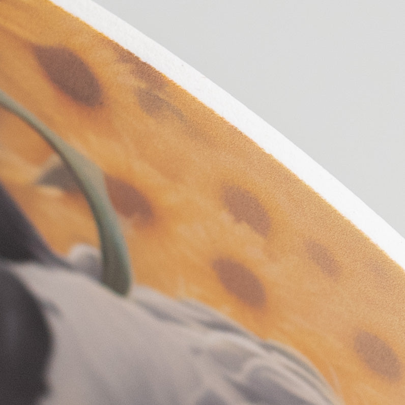 9.4" Round Waterproof Accent: Peeking Sunflower Cow detail photo 3