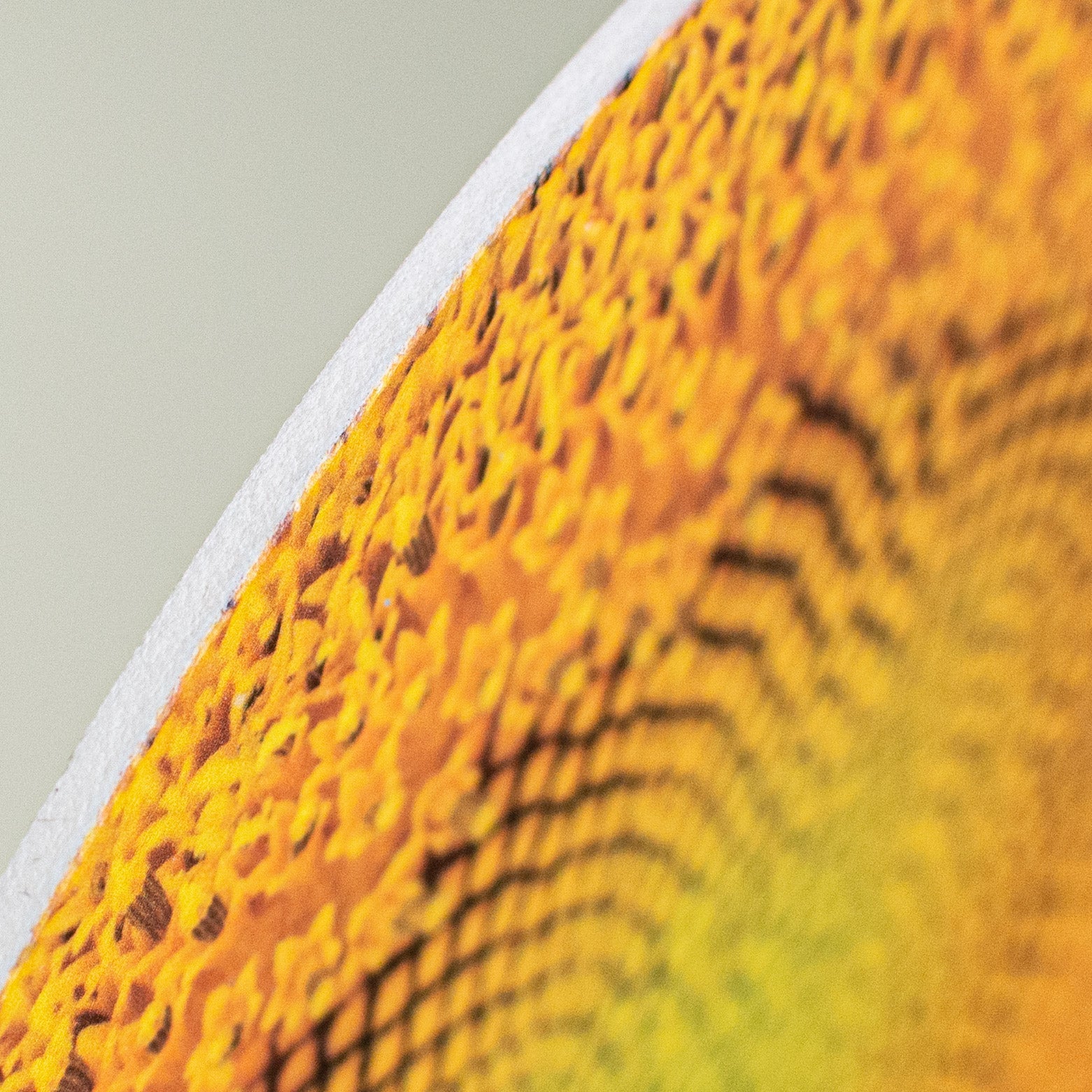 8.5" Round Waterproof Sunflower Center detail photo 3