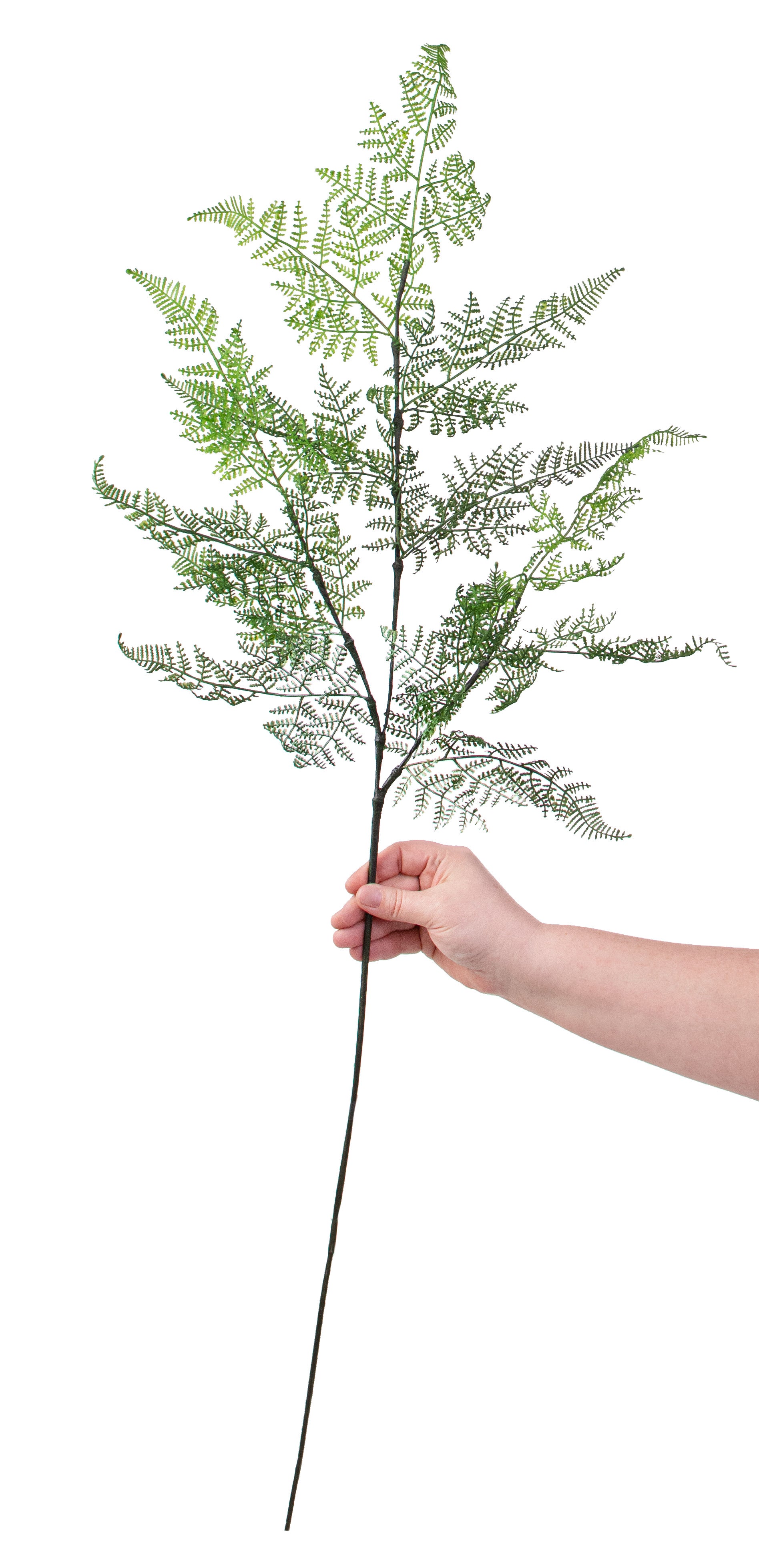 41" Ruffle Fern Spray detail photo 4