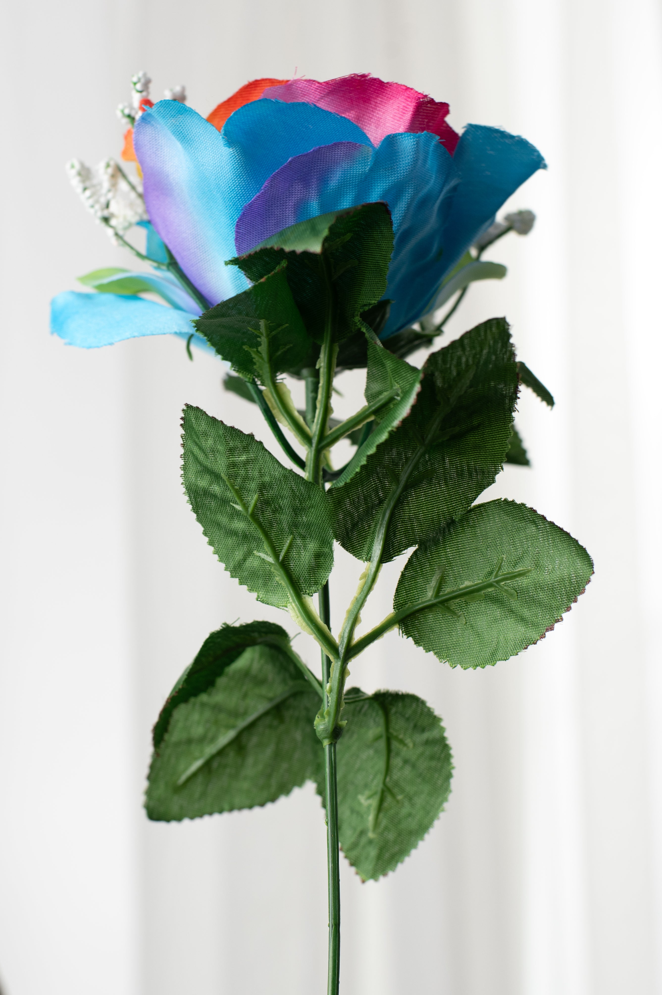 23" Satin Rose with Gypso: Rainbow detail photo 4