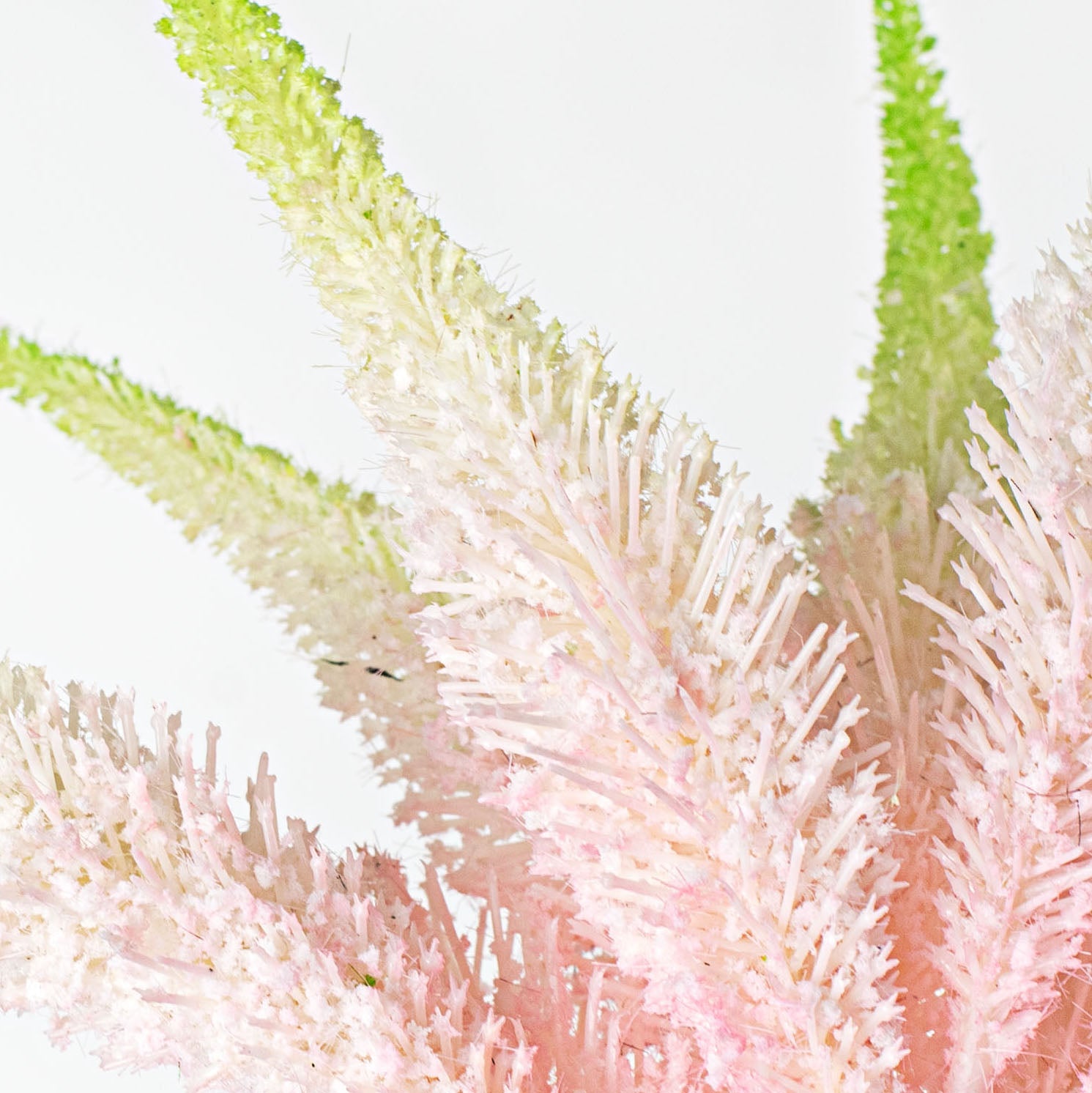 15" Setaria Bundle: Pink & Green Lifestyle Photo