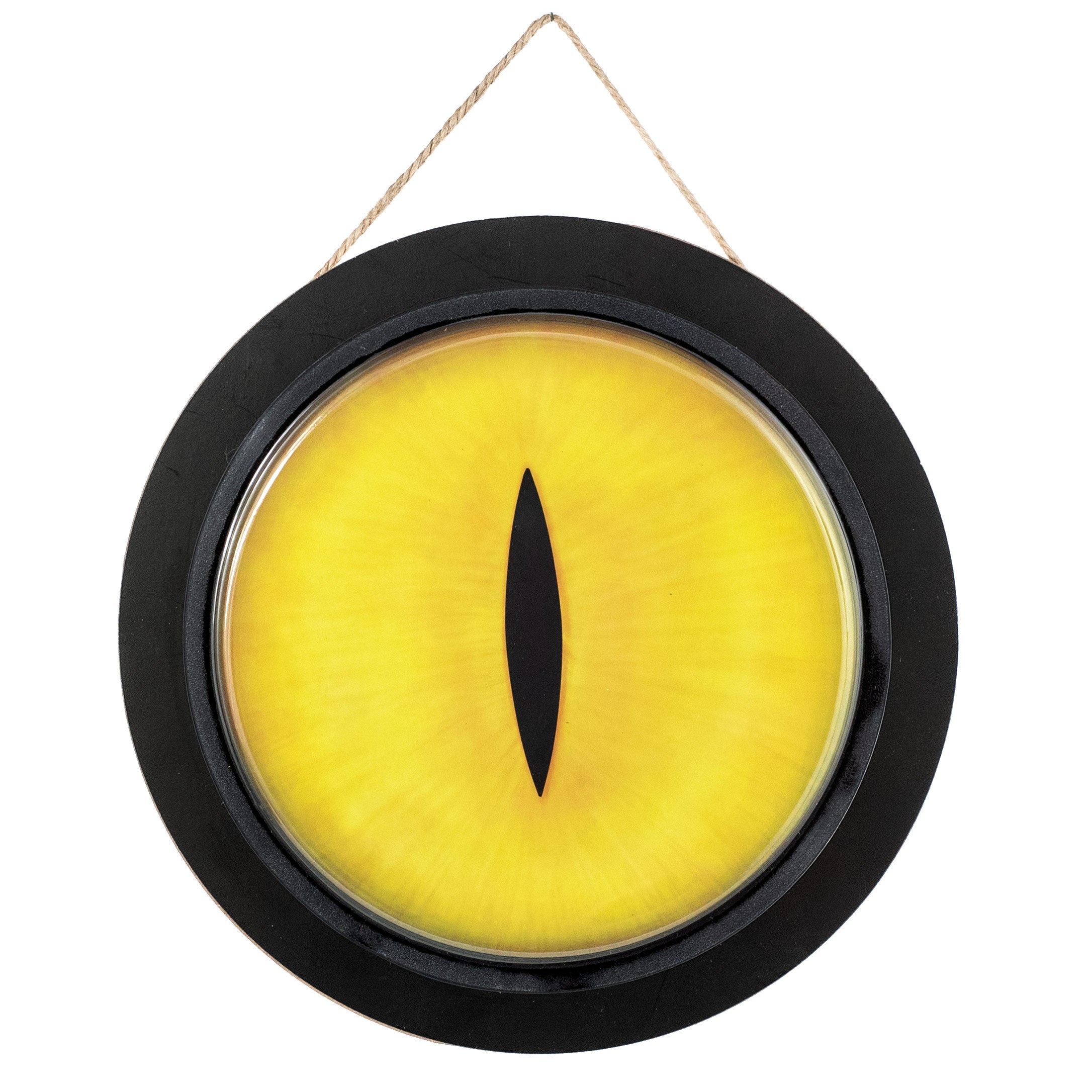 10" Shiny Cat Eye Dome Sign: Yellow & Black Item Number: AP07292