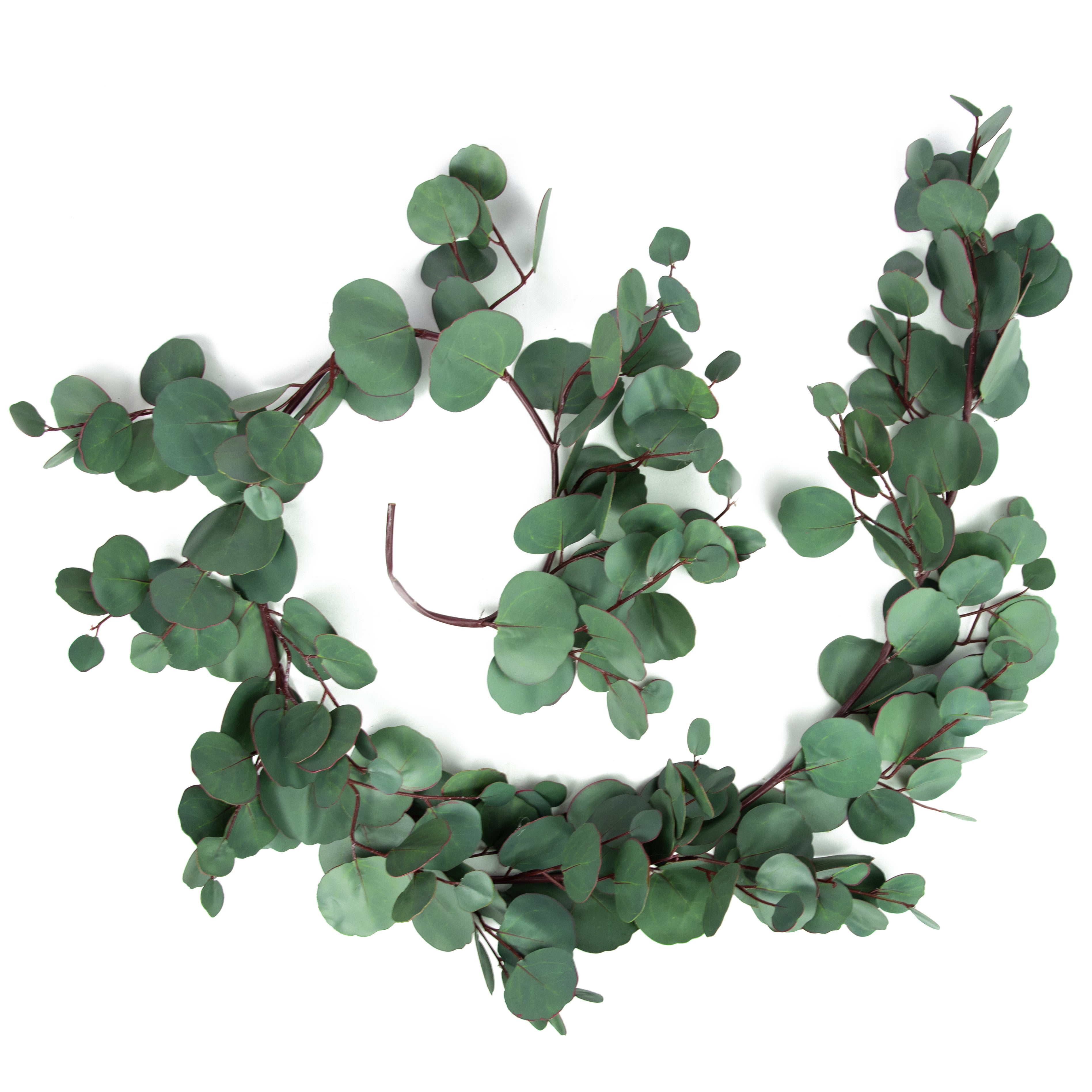 5' Silver Dollar Eucalyptus Garland Item Number: 2390020SG