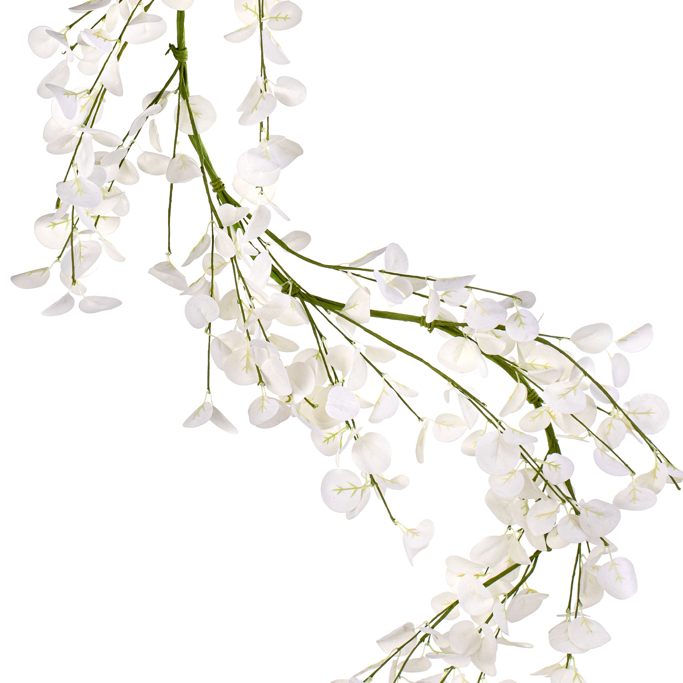 5' Silver Dollar Eucalyptus Garland: White Item Number: 27031