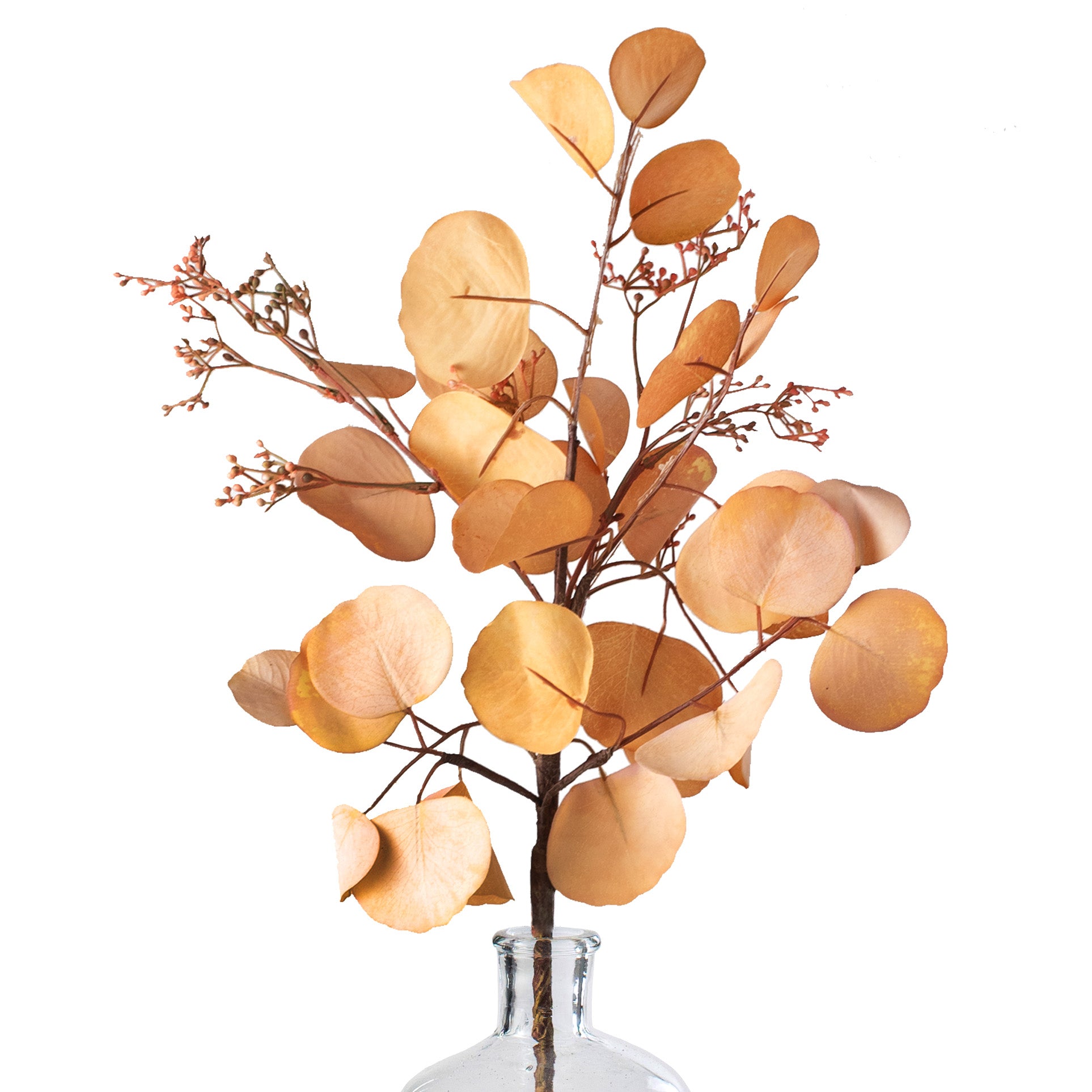 38" Silver Dollar Eucalyptus Leaf Spray: Natural Brown Item Number: 159636