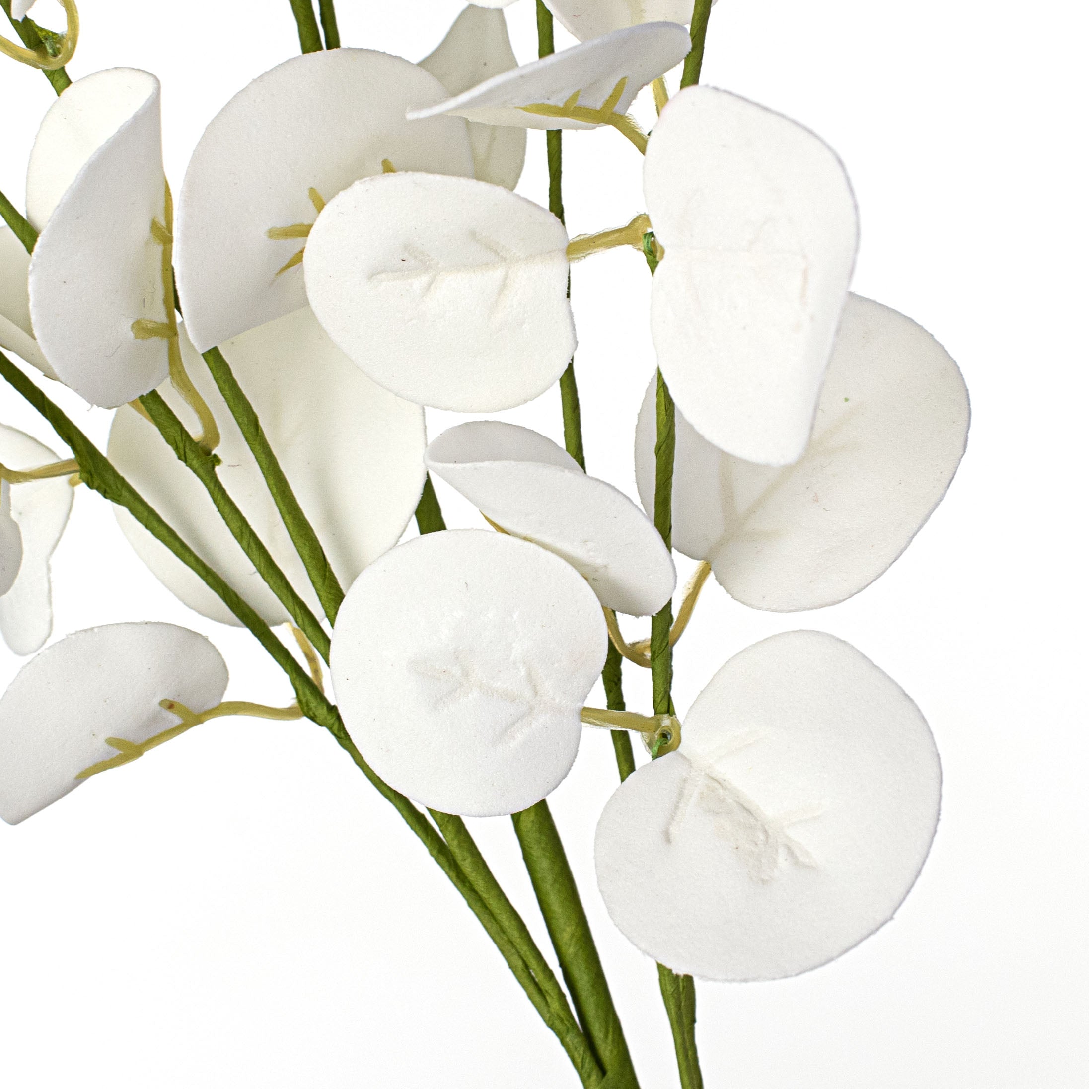 25" Silver Dollar Eucalyptus Spray: White Lifestyle Photo