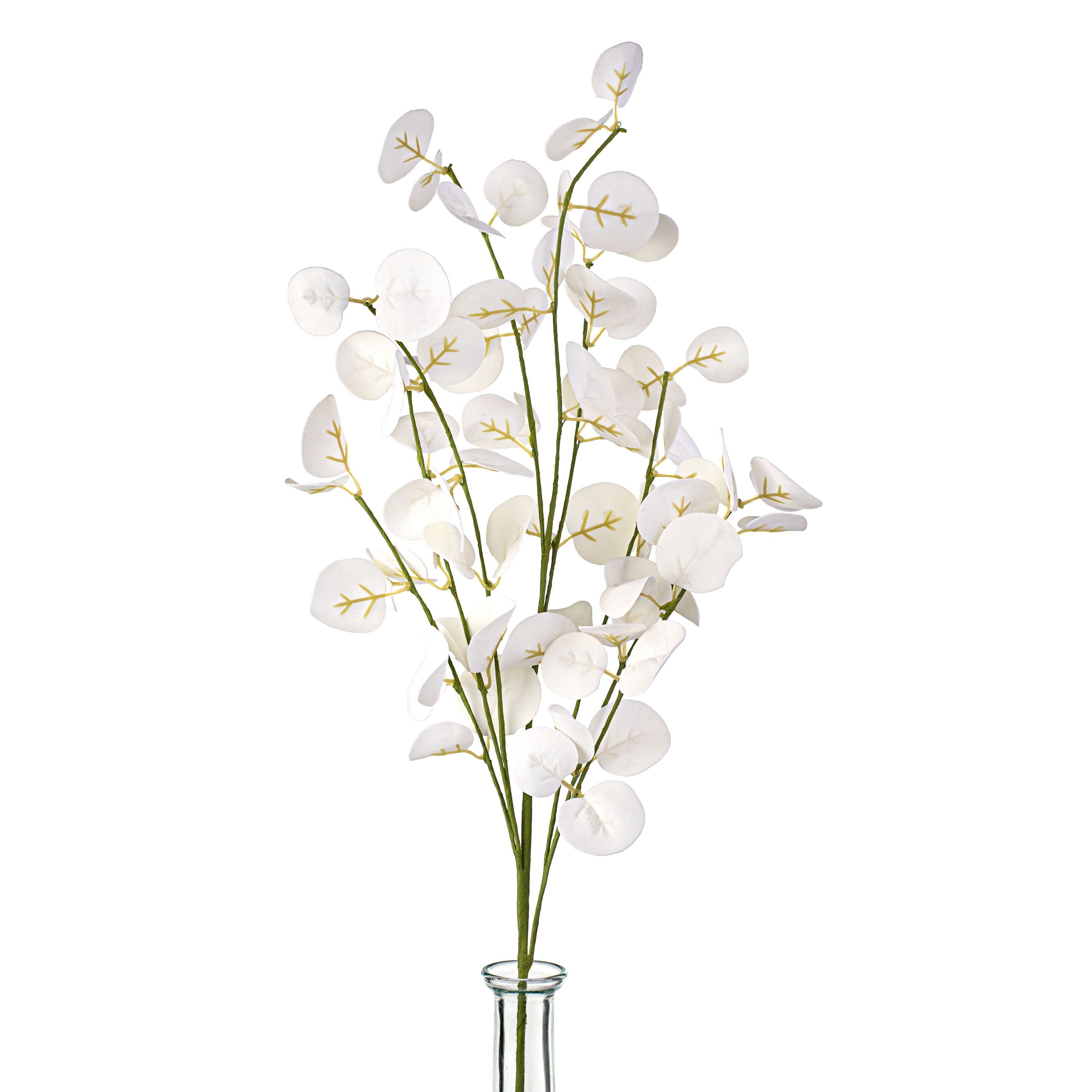 25" Silver Dollar Eucalyptus Spray: White Item Number: 27033