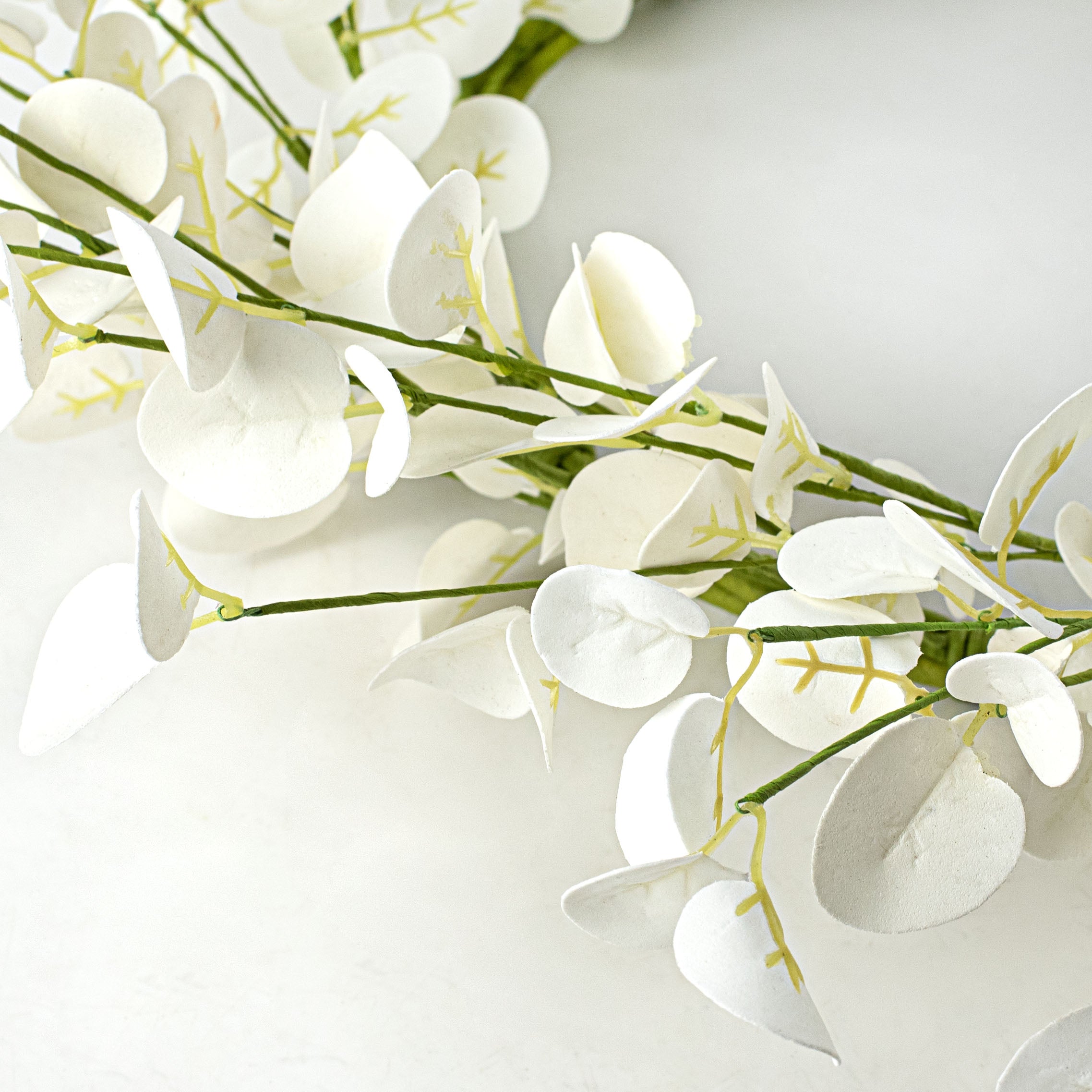 24" Silver Dollar Eucalyptus Wreath: White detail photo 3
