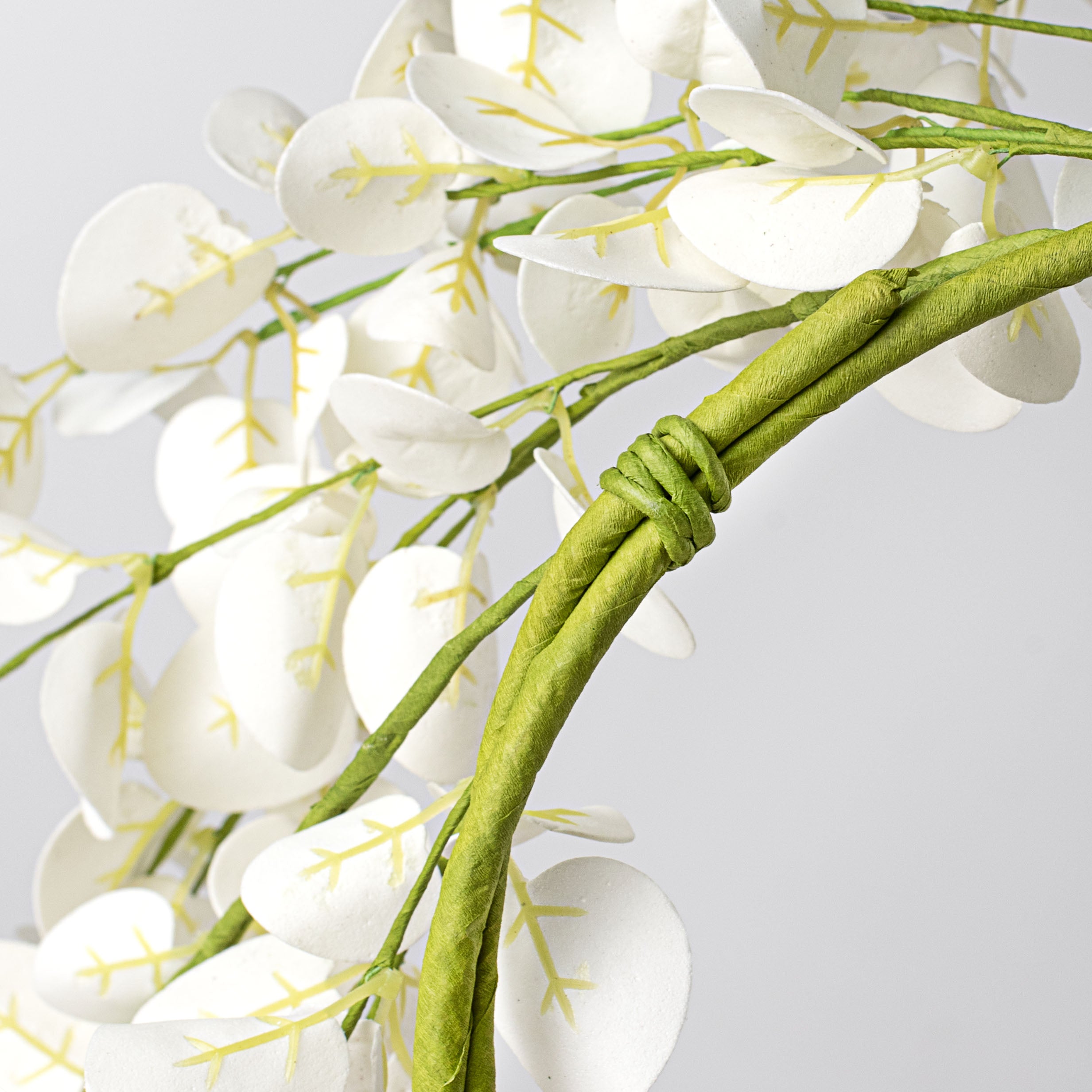 24" Silver Dollar Eucalyptus Wreath: White detail photo 4