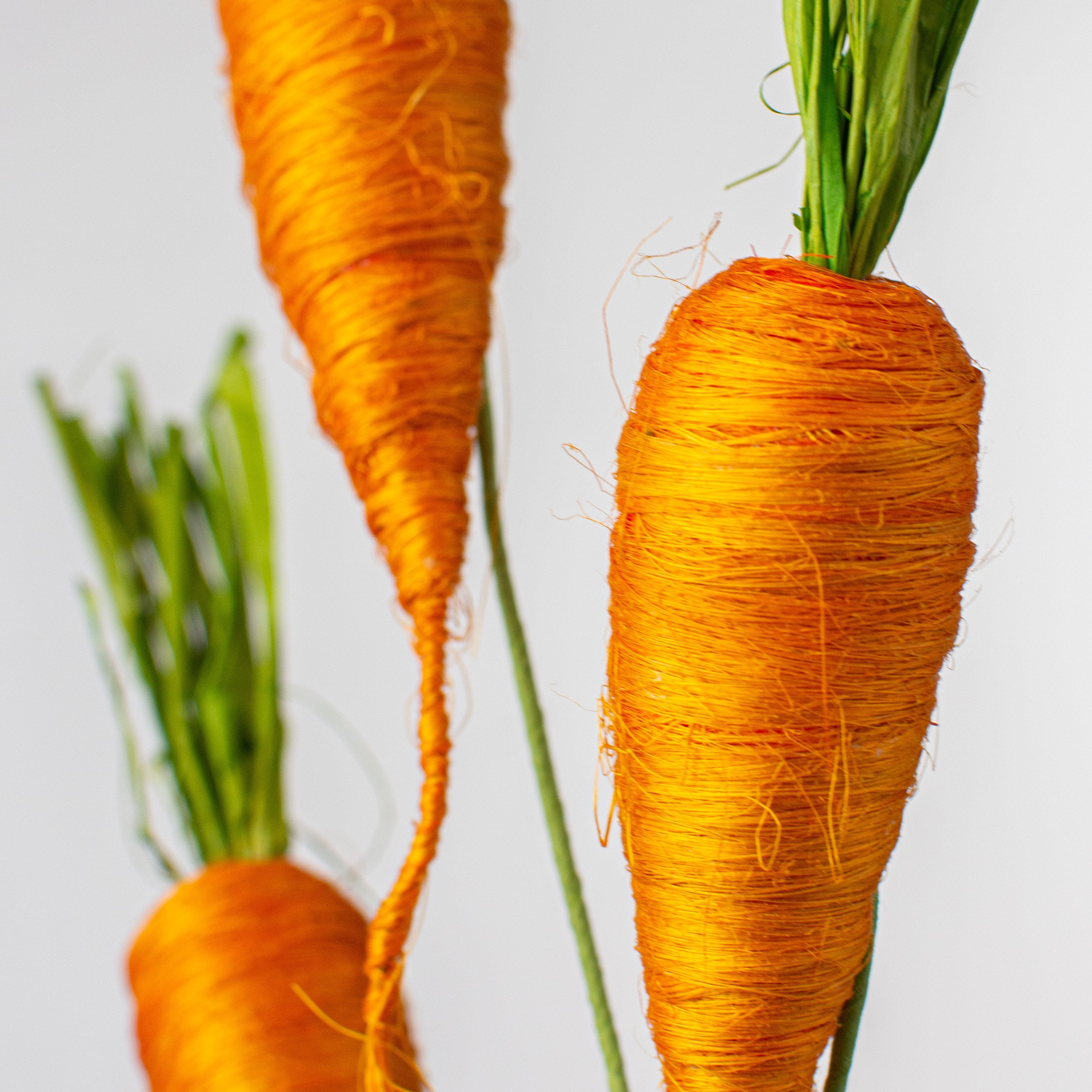 24" Sisal Carrot Pick: Orange Lifestyle Photo