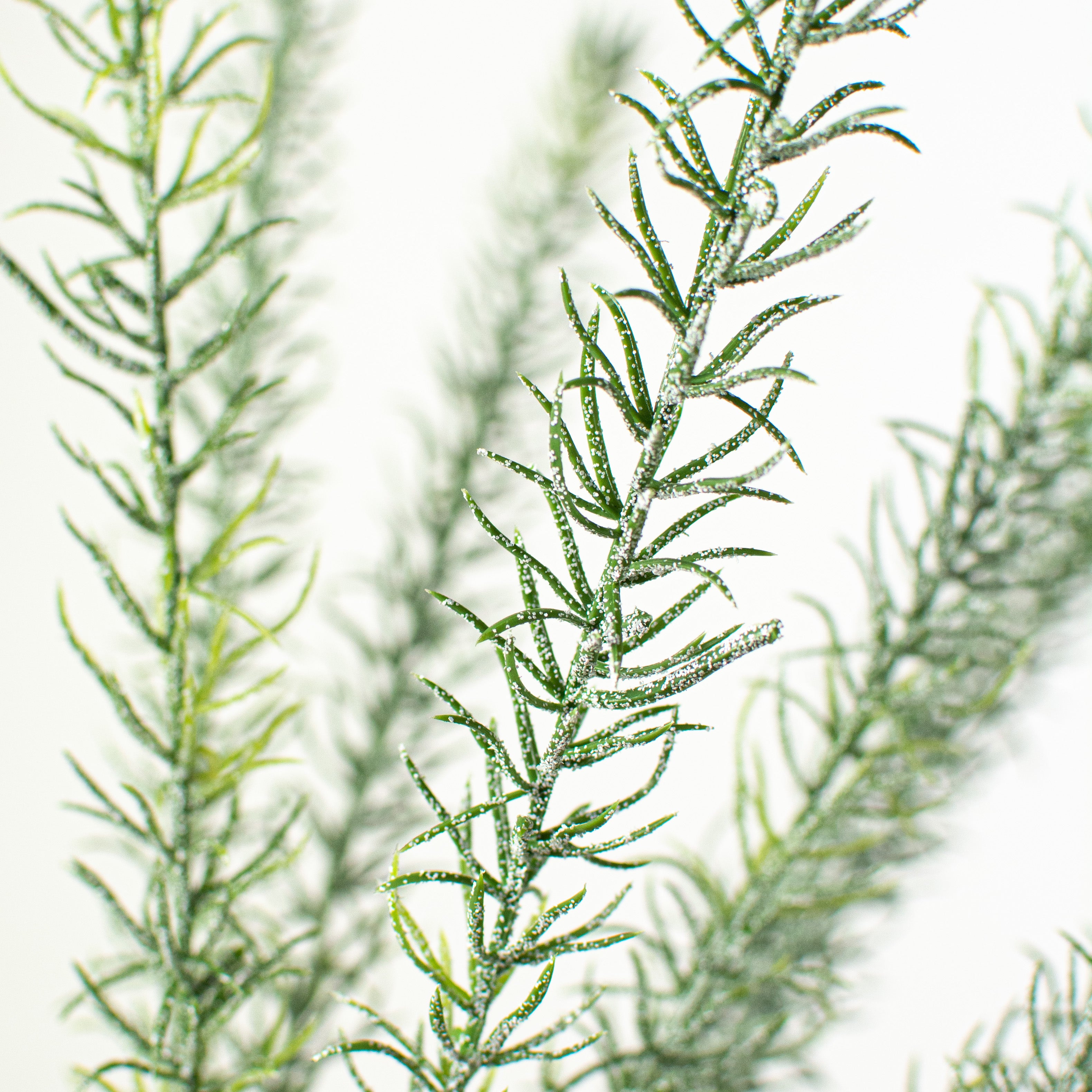 22" Skinny Snow Pine Pick Lifestyle Photo