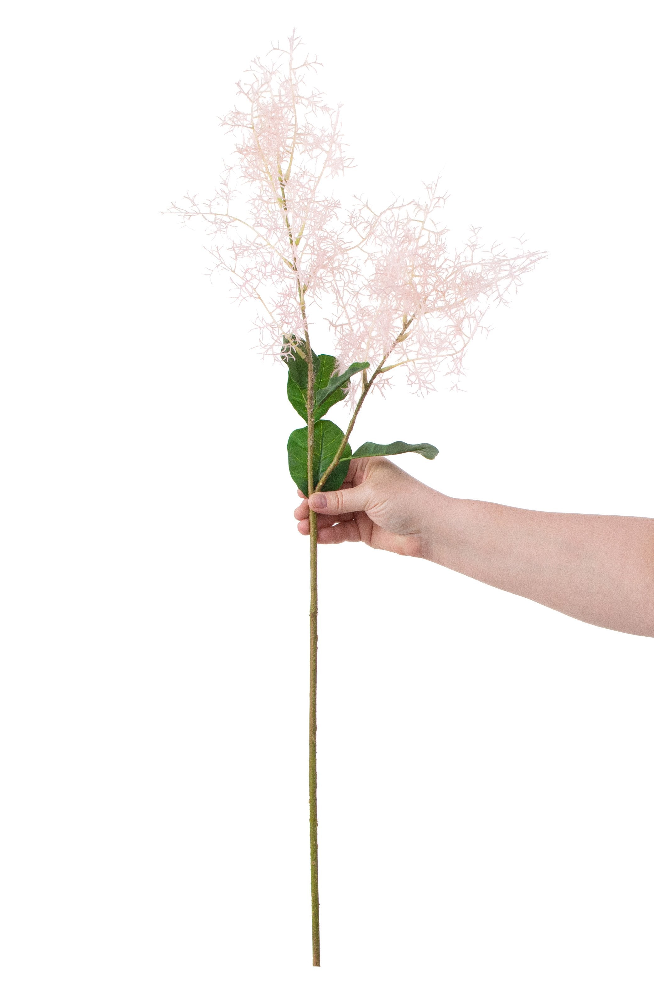32" Smoke Tree Spray: Pink detail photo 3