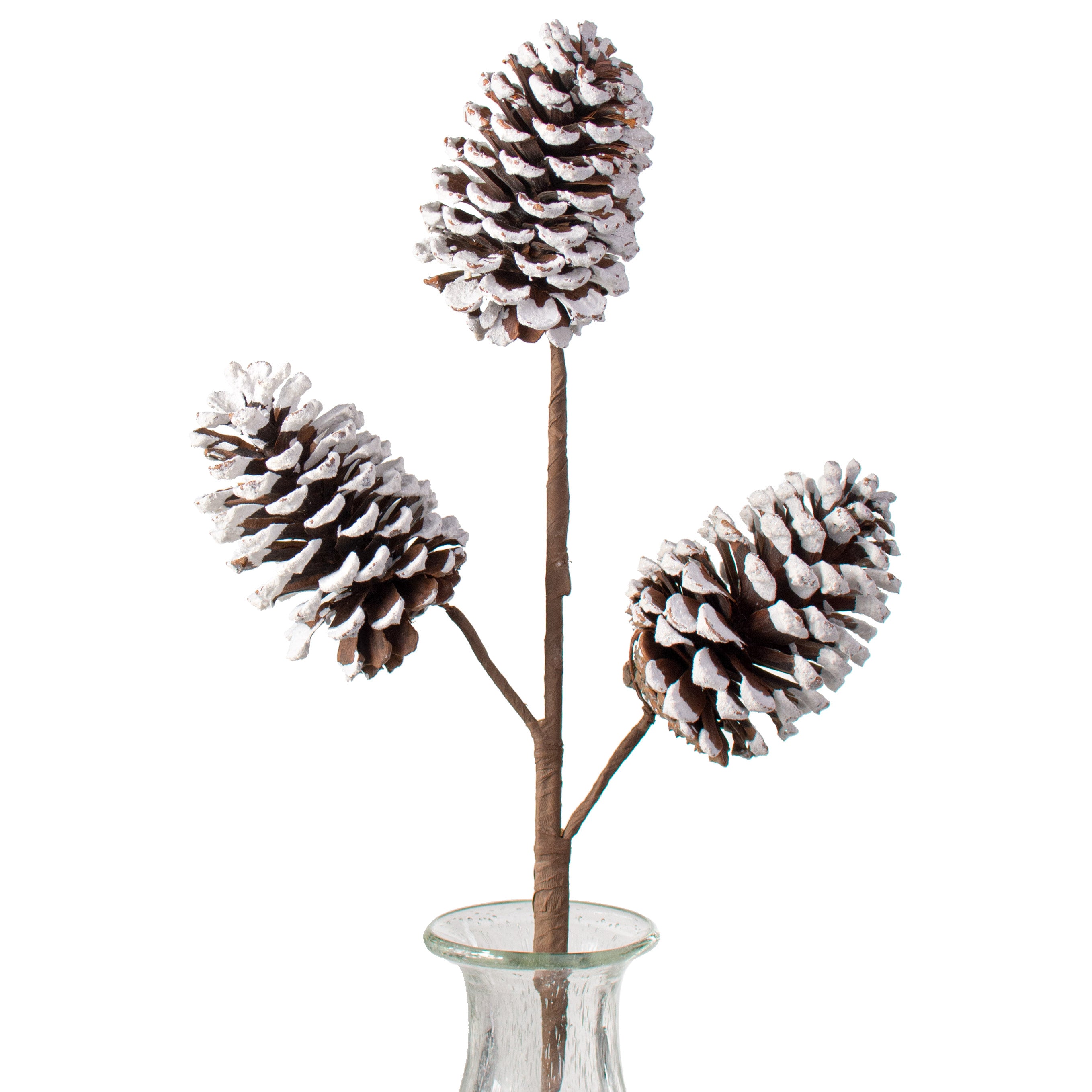 24" Snow Pinecone Spray Item Number: 84730NAT